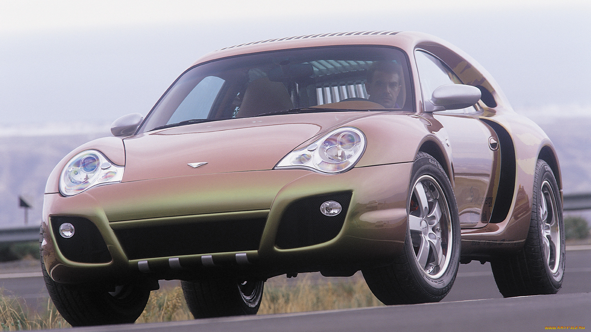 автомобили, rinspeed