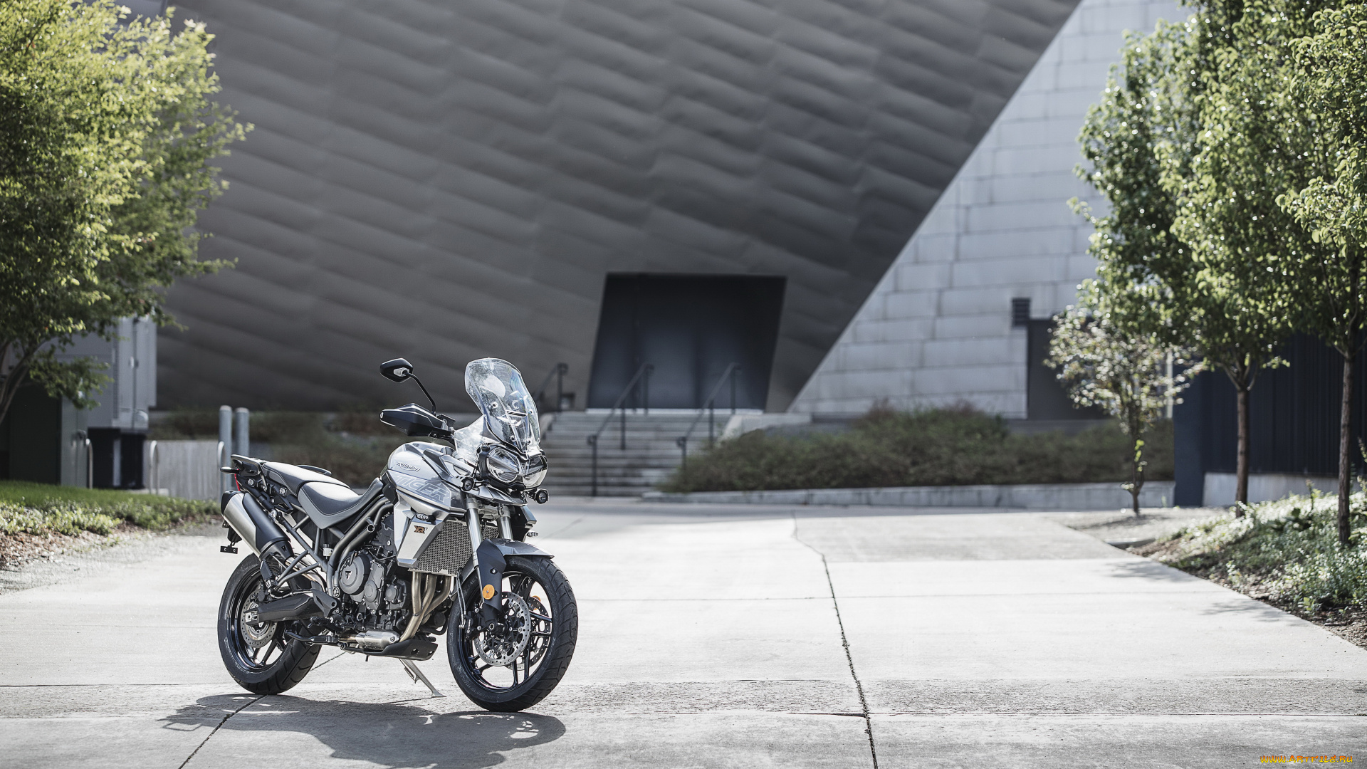 мотоциклы, triumph