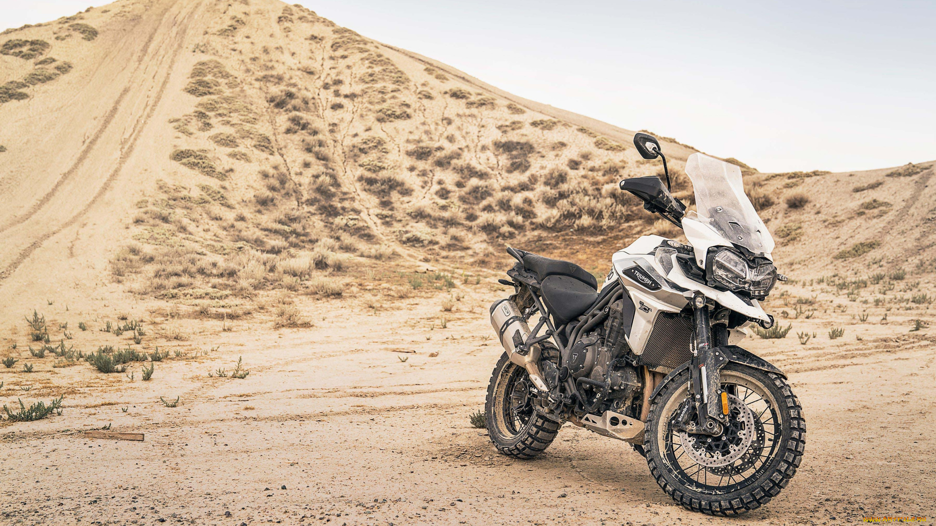 мотоциклы, triumph