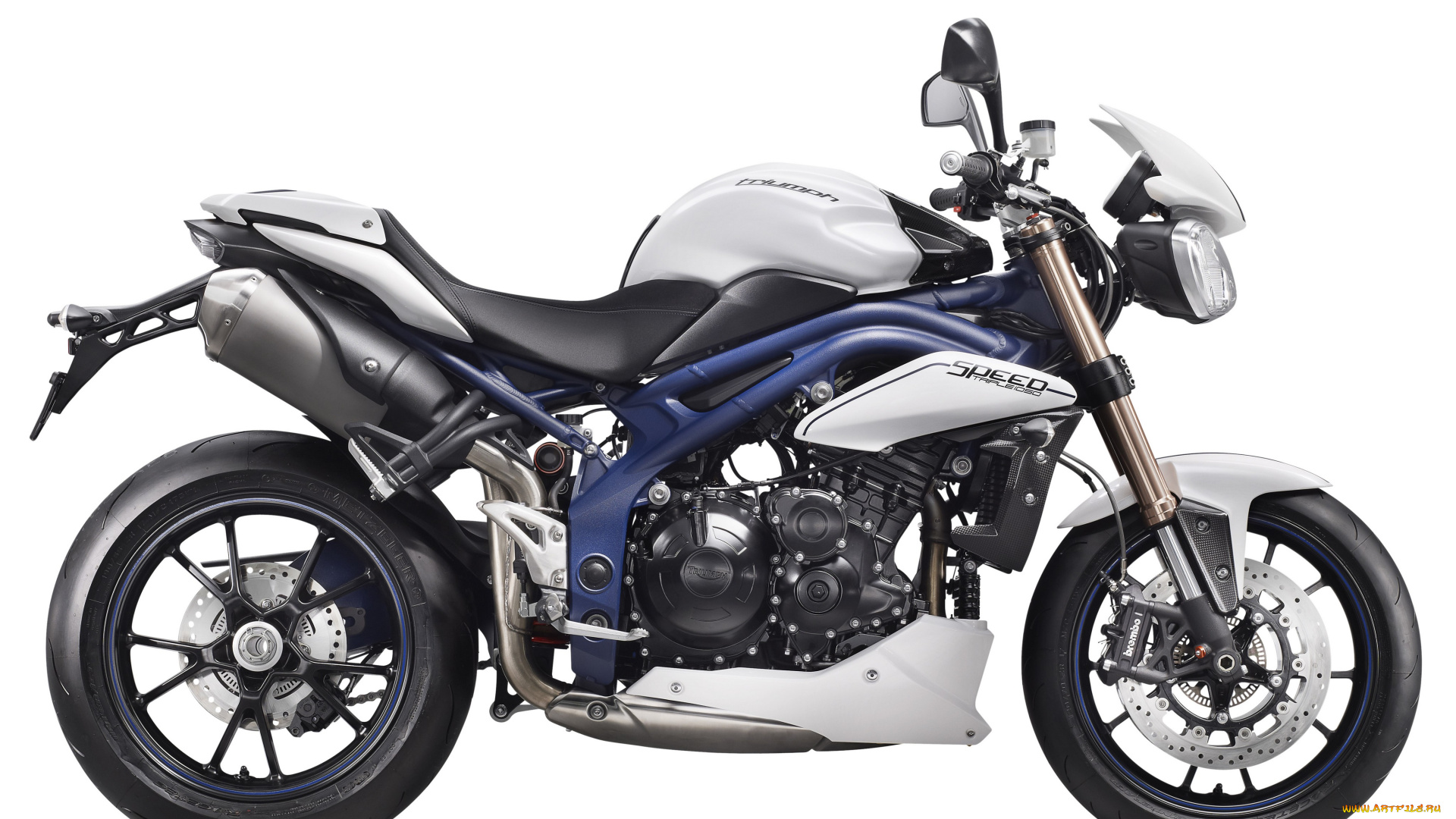 мотоциклы, triumph