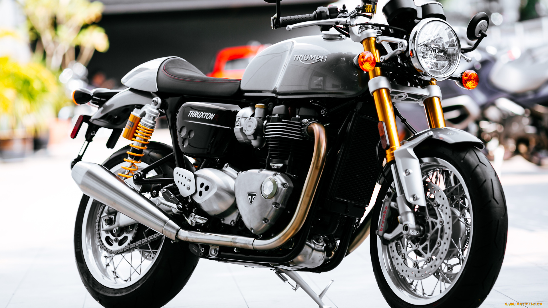 мотоциклы, triumph