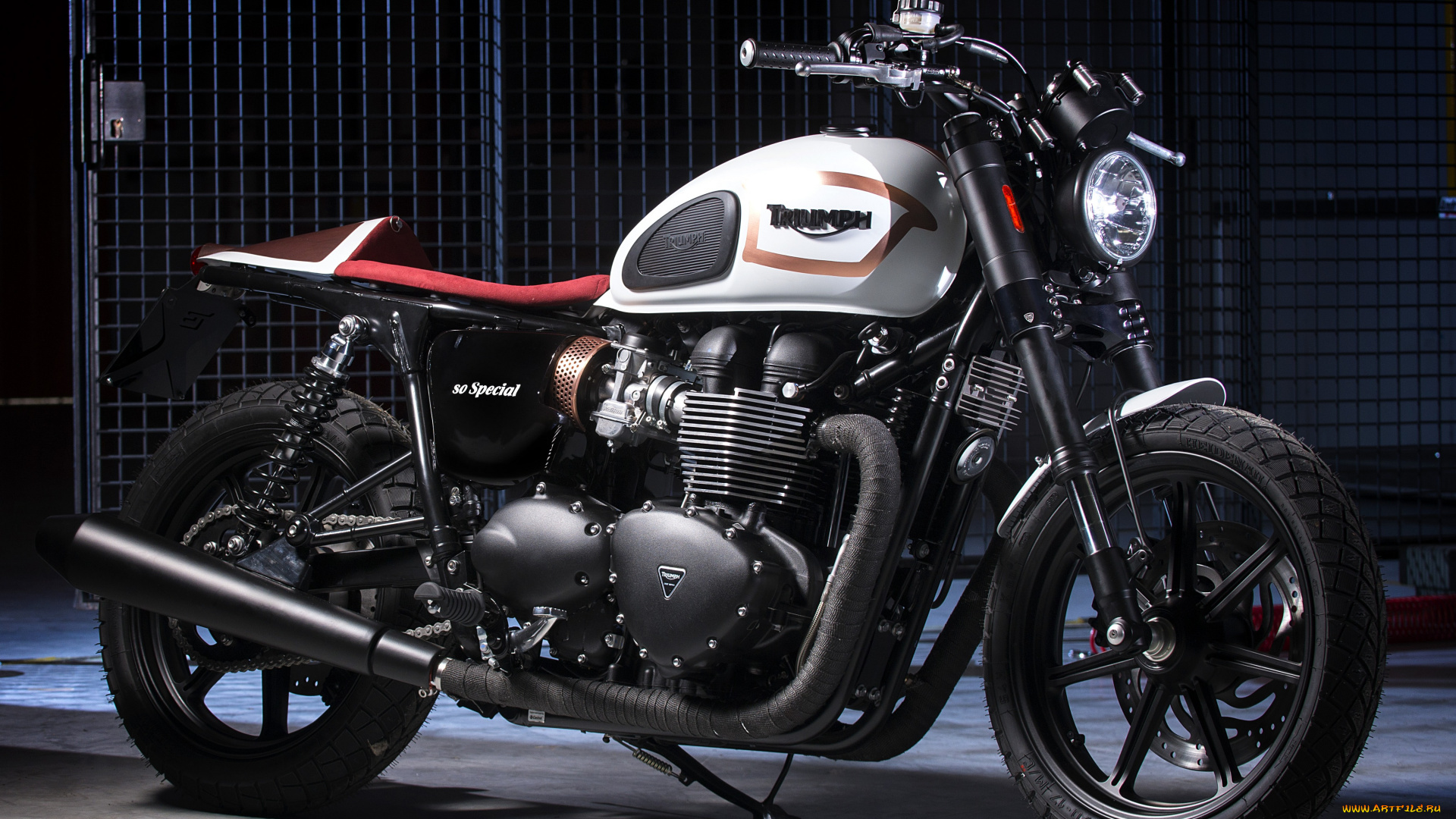 мотоциклы, triumph