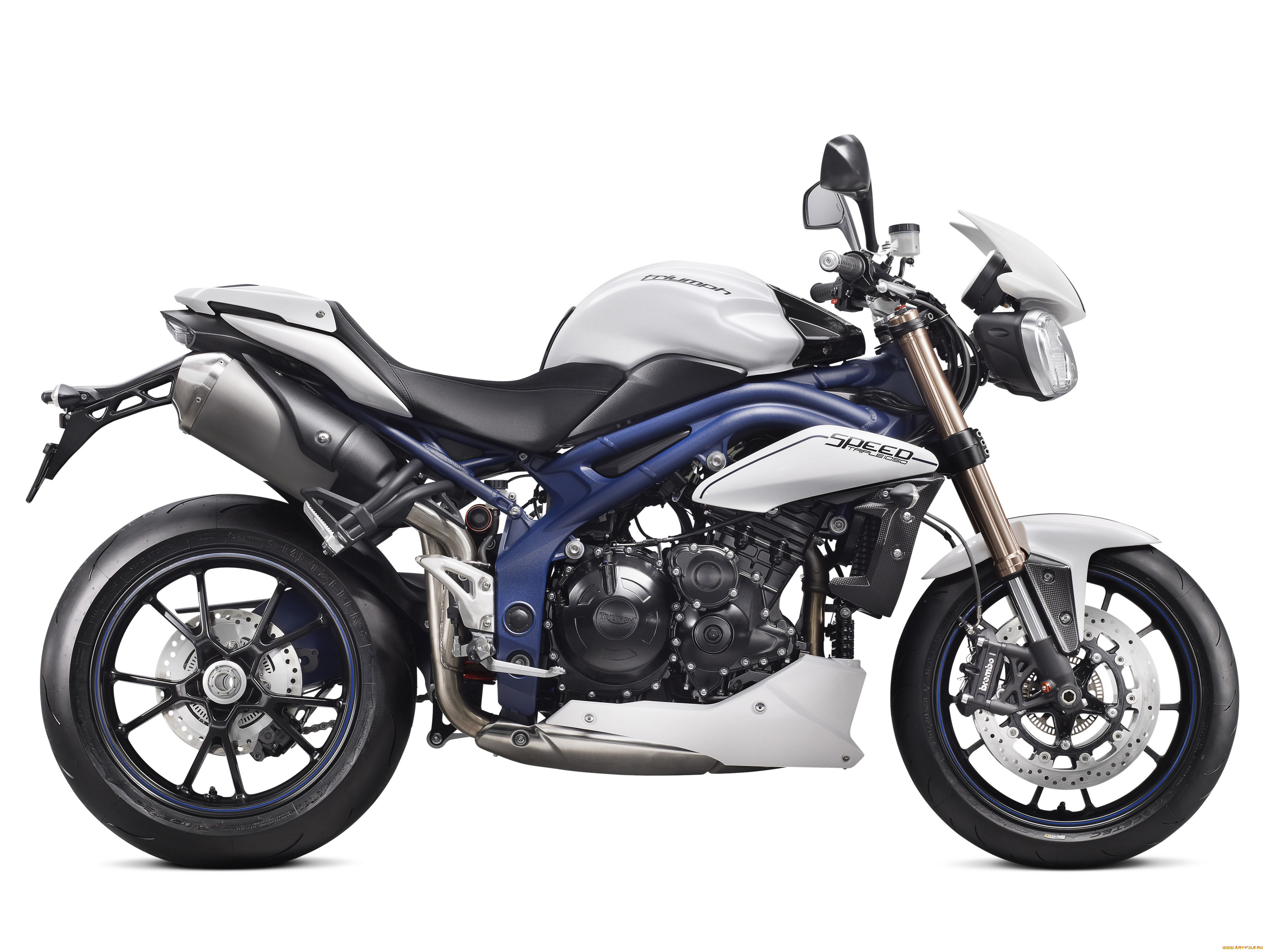 мотоциклы, triumph