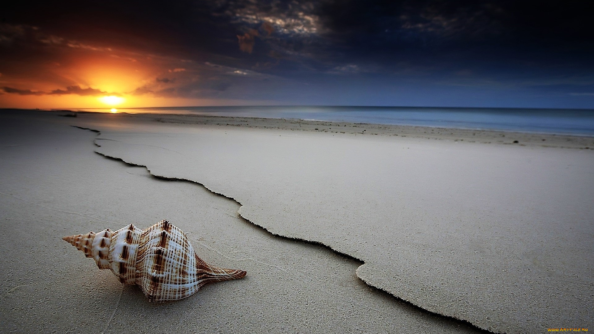 разное, ракушки, , кораллы, , декоративные, и, spa-камни, ракушка, берег, море, закат