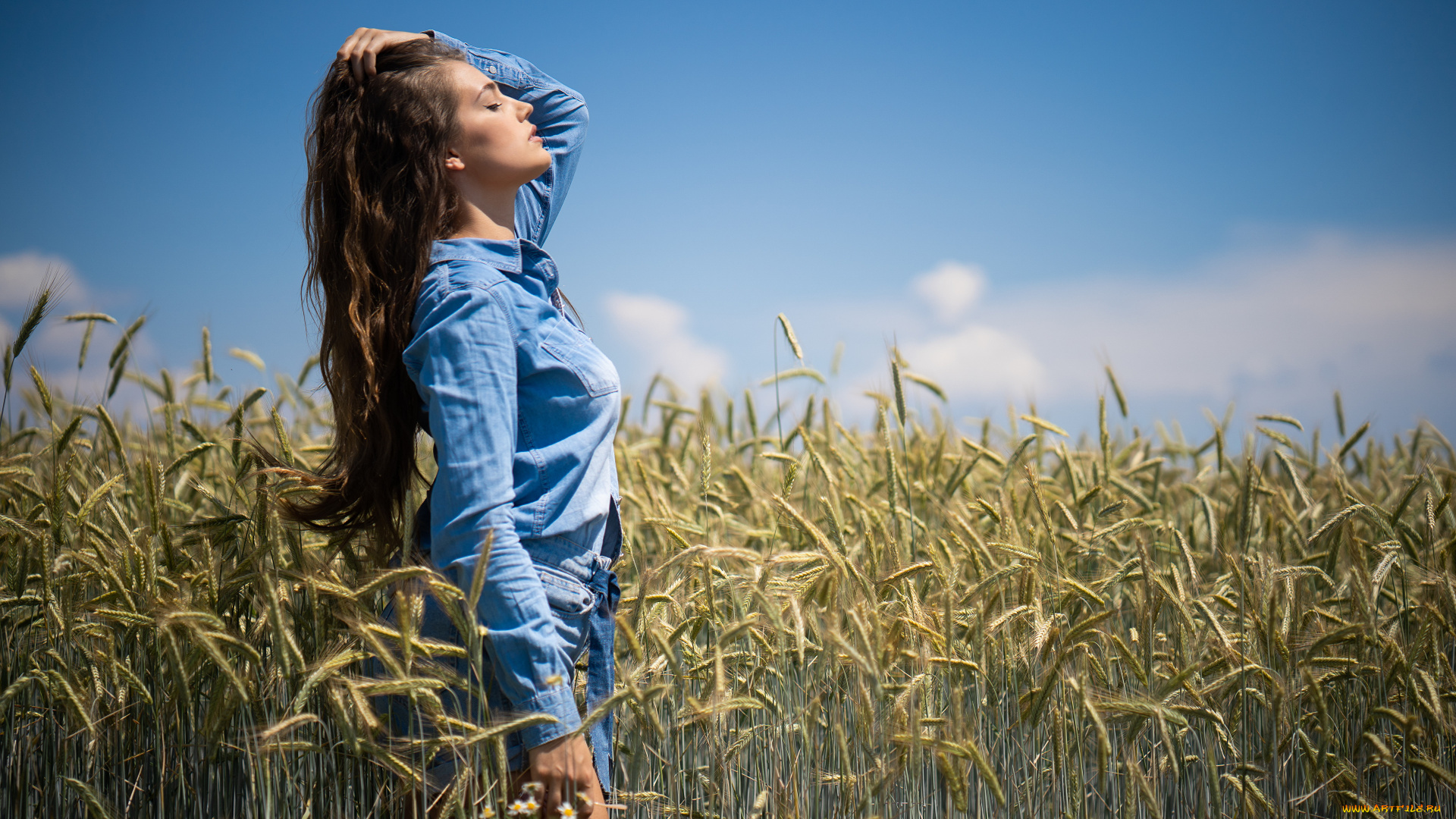 девушки, -, брюнетки, , шатенки, девушка