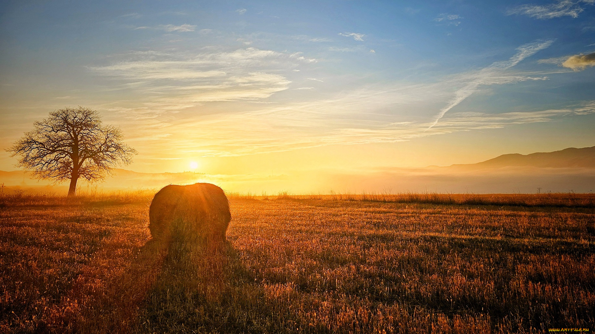природа, поля, небо, облака, солнце, рассвет, туман, дерево, поле, горы, сноп, сена