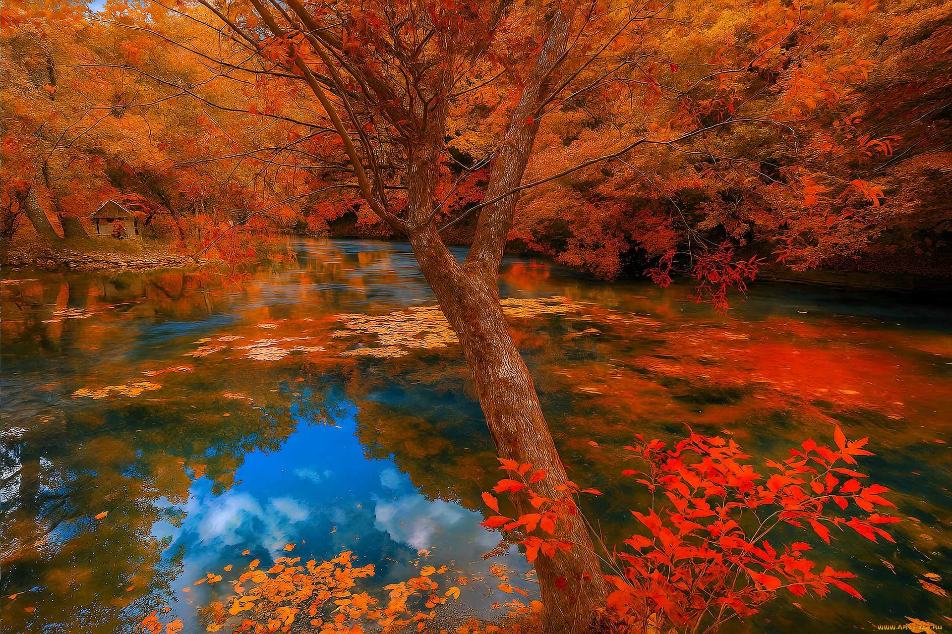разное, компьютерный, дизайн, осень, лес, озеро, деревья, листья