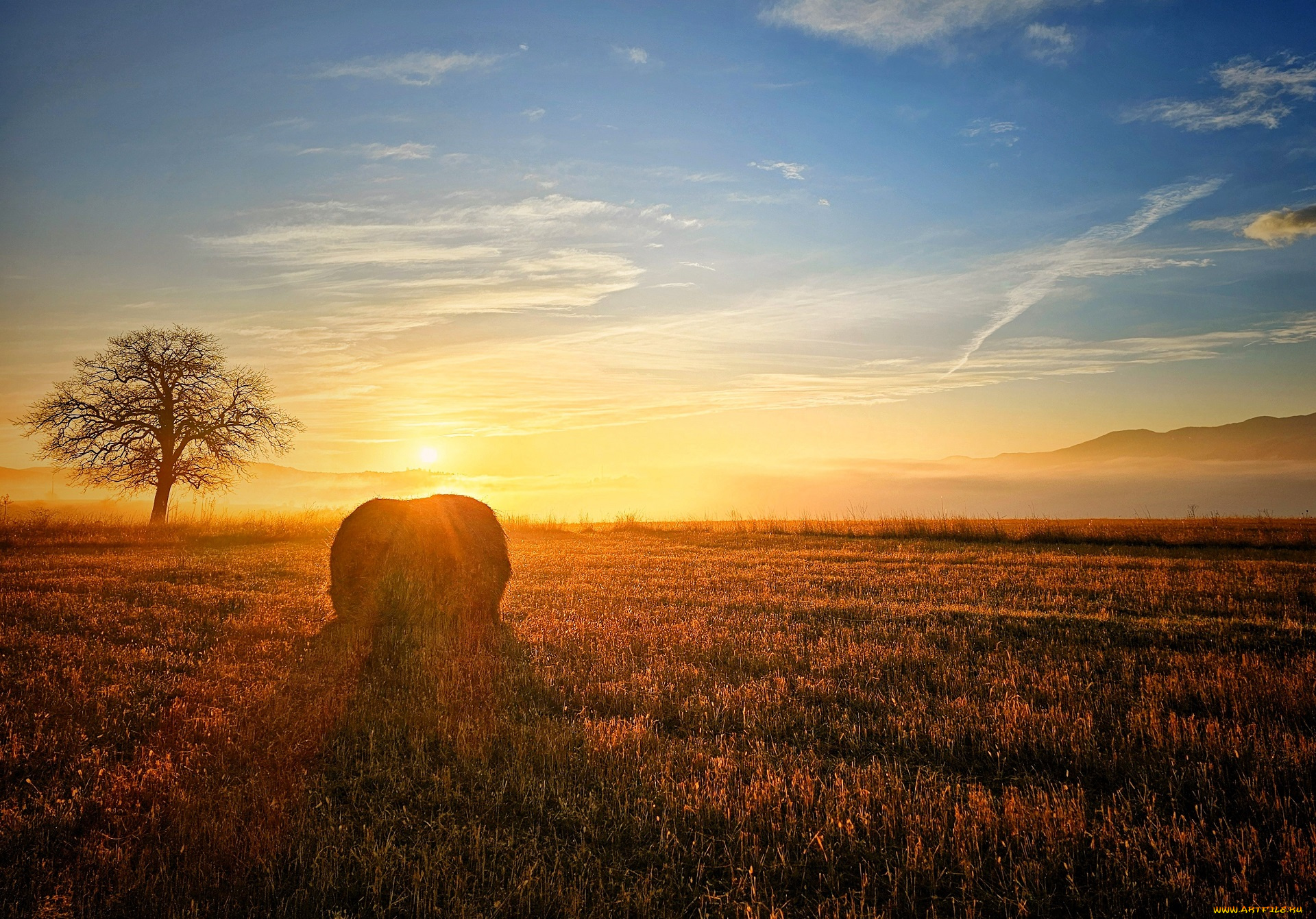 природа, поля, небо, облака, солнце, рассвет, туман, дерево, поле, горы, сноп, сена