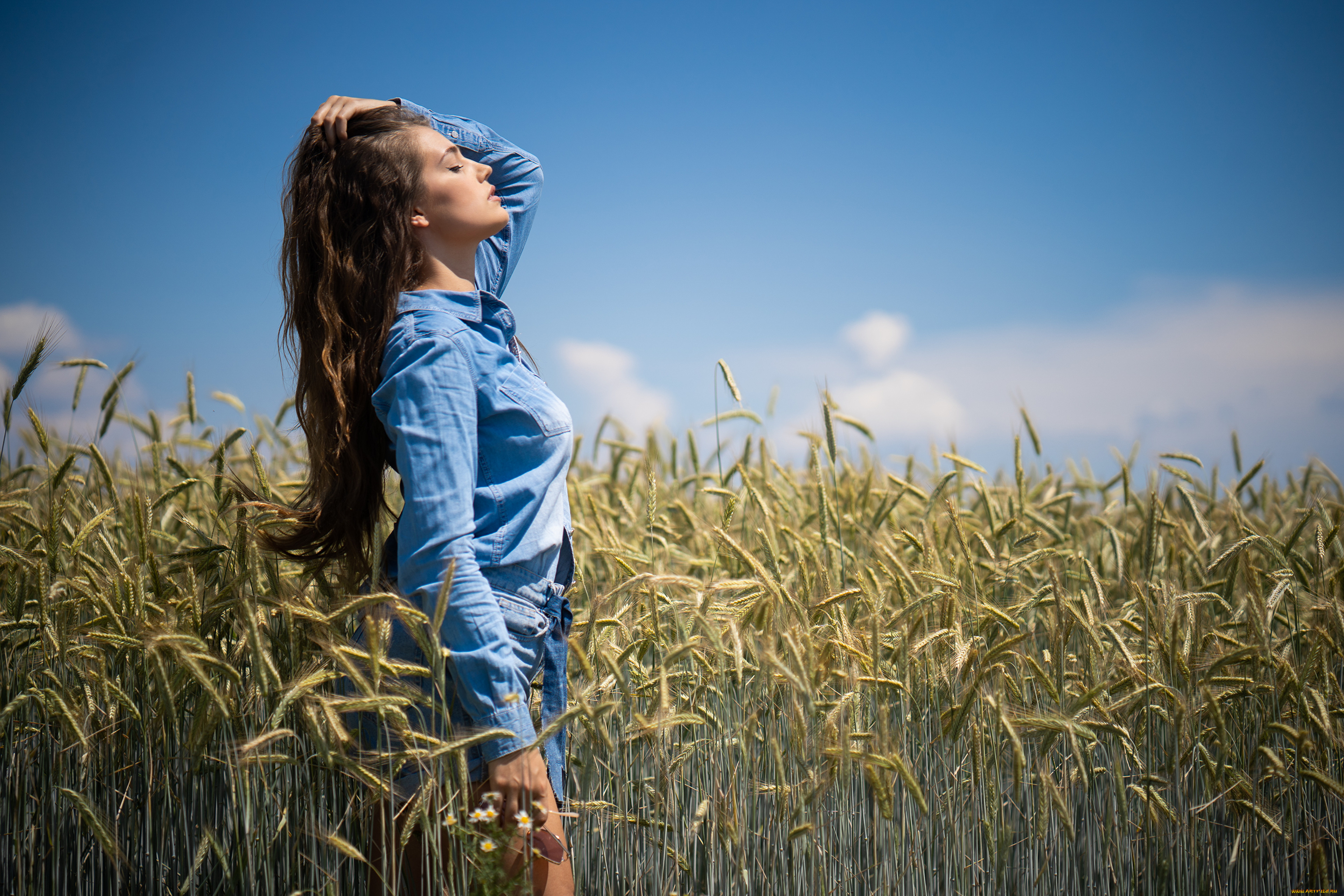 девушки, -, брюнетки, , шатенки, девушка