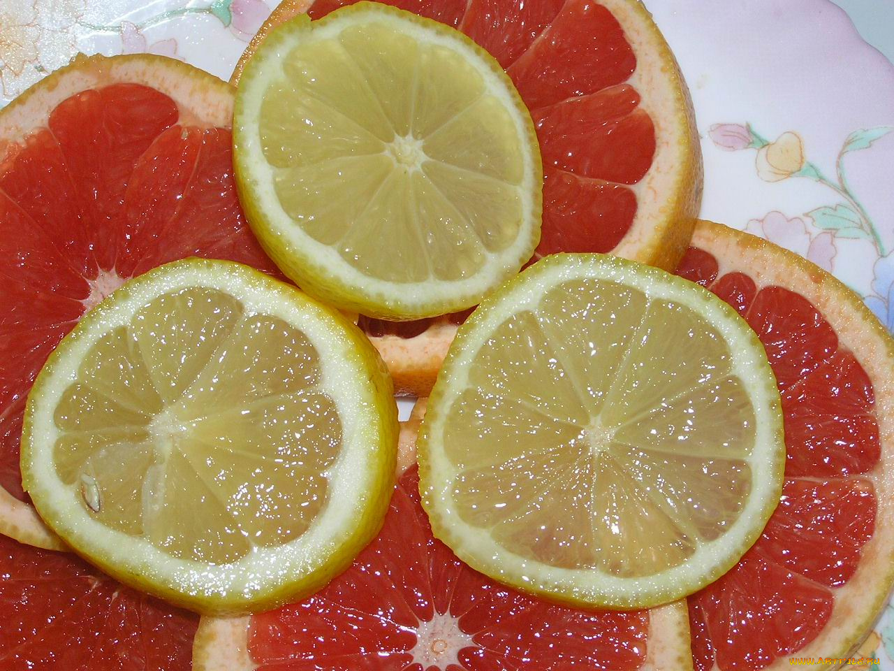 еда, цитрусы