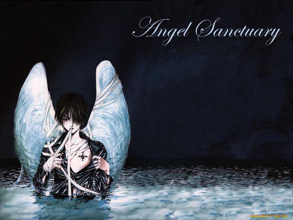 аниме, angel, sanctuary