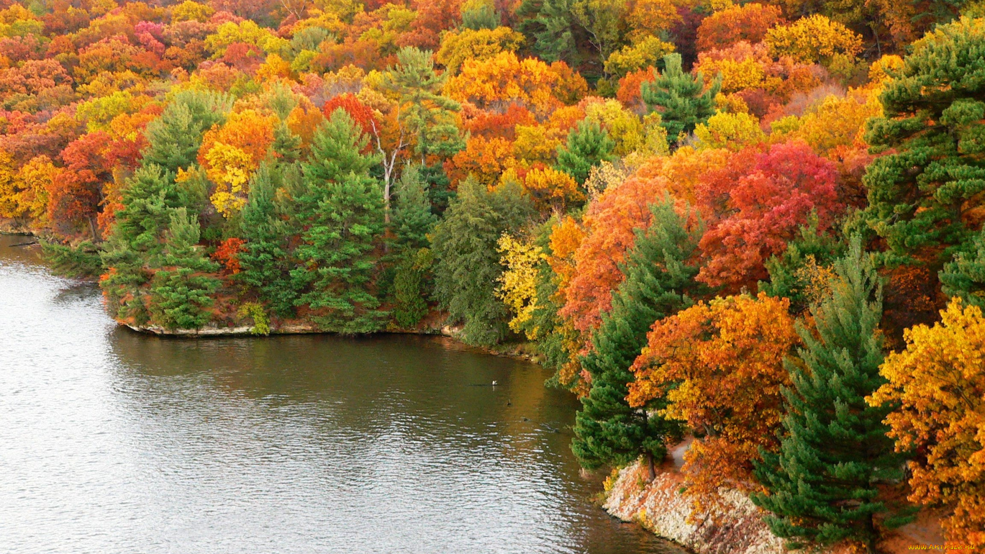 природа, реки, озера