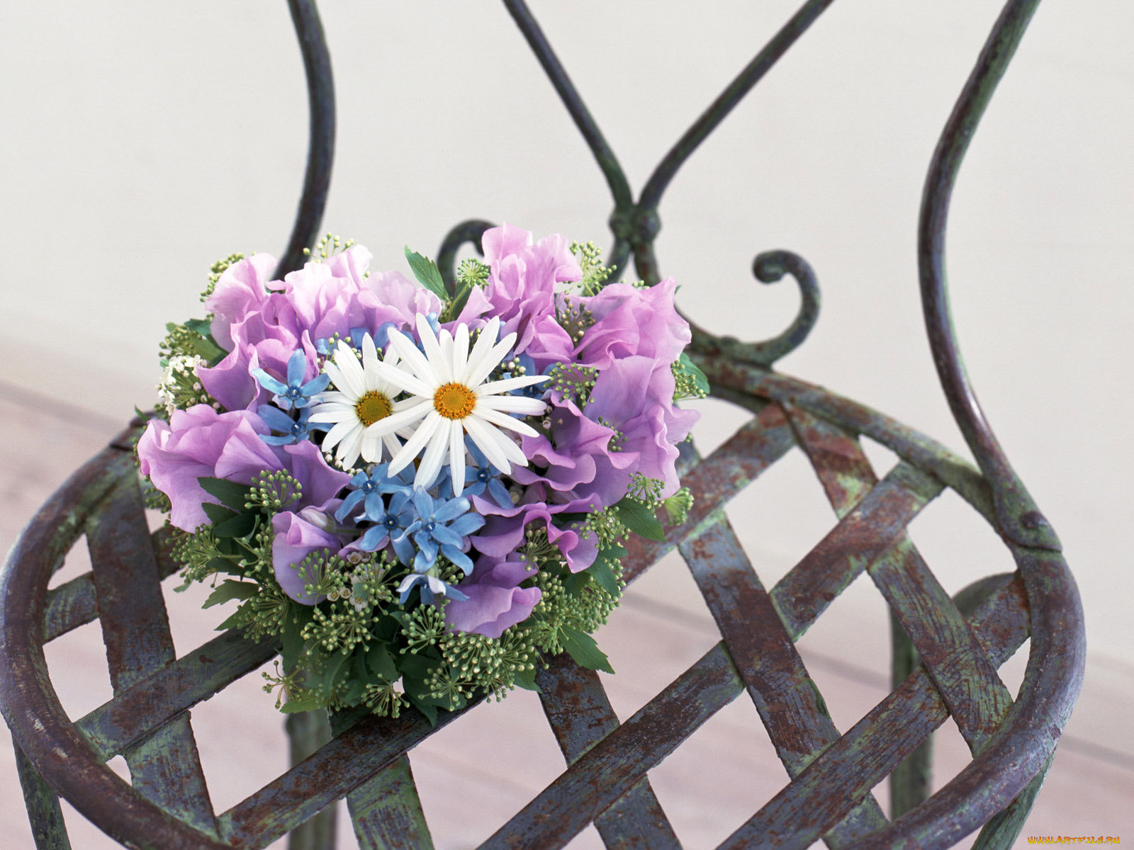 цветы, букеты, композиции