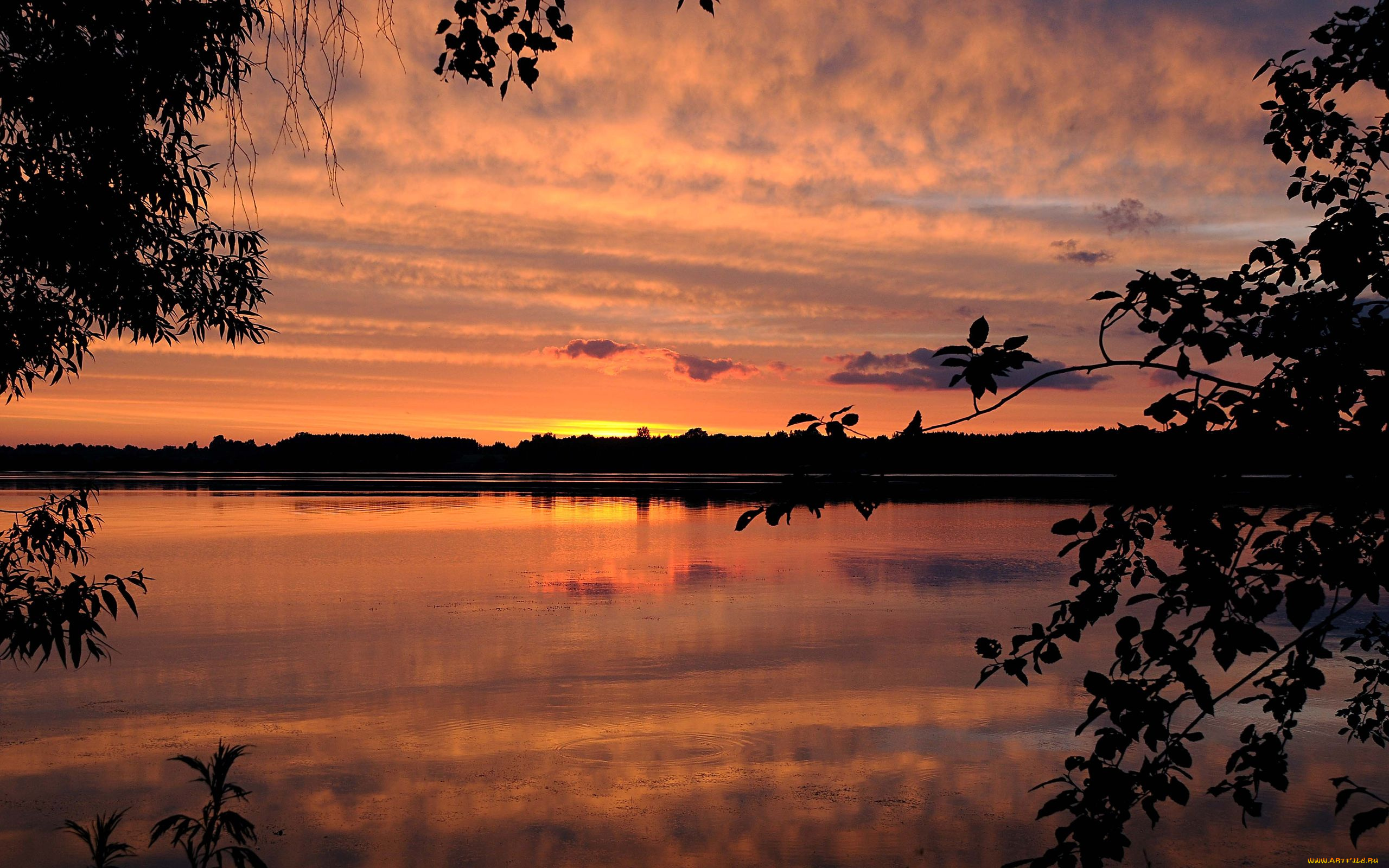 природа, восходы, закаты