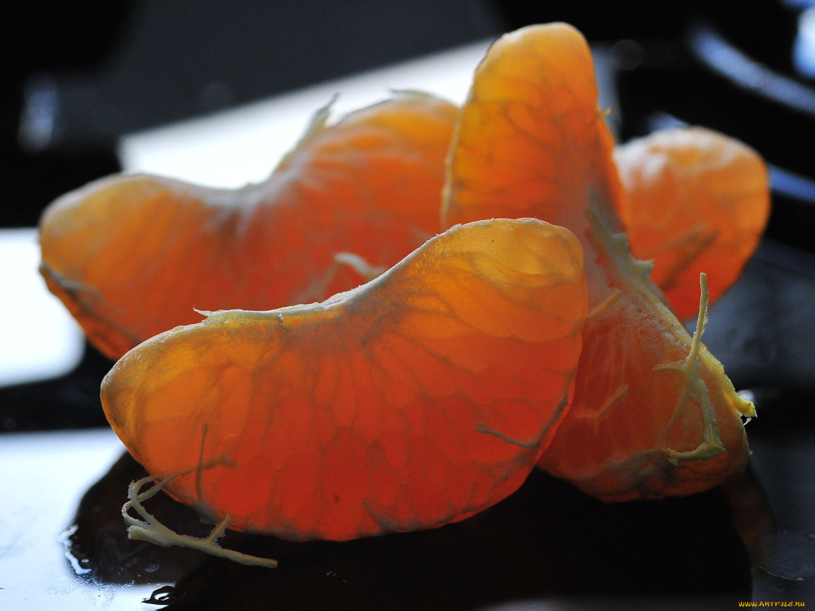 еда, цитрусы