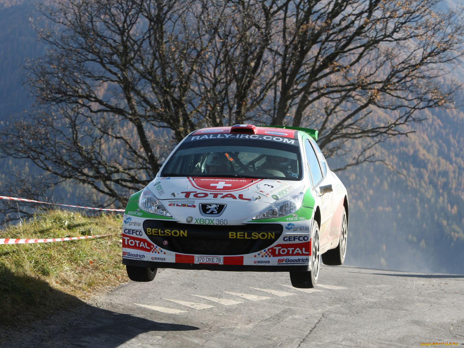 спорт, авторалли