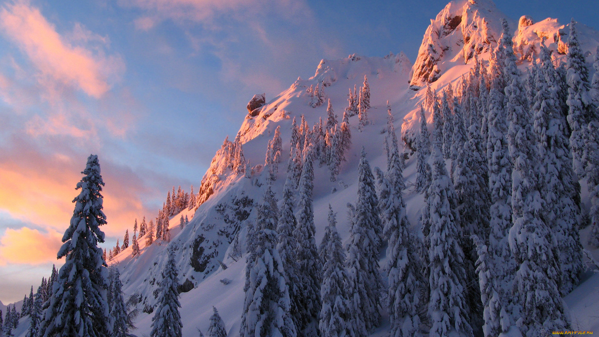 природа, зима, деревья, ели, снег, горы