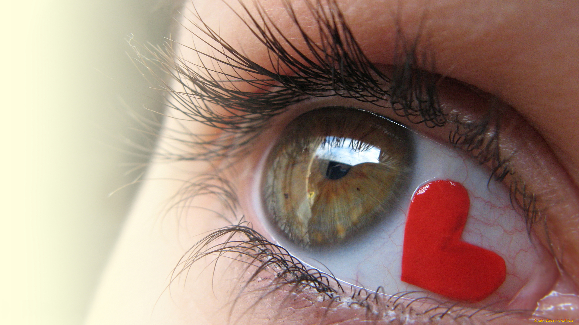разное, глаза, взгляд, любовь, сердце