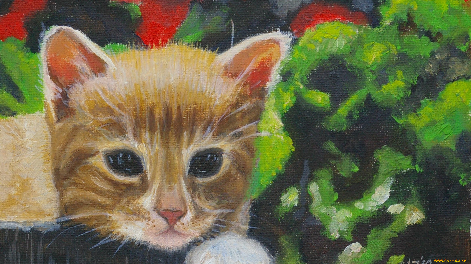 рисованные, животные, кот