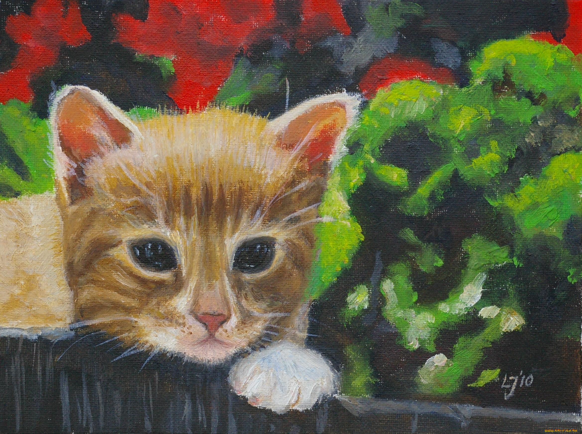 рисованные, животные, кот