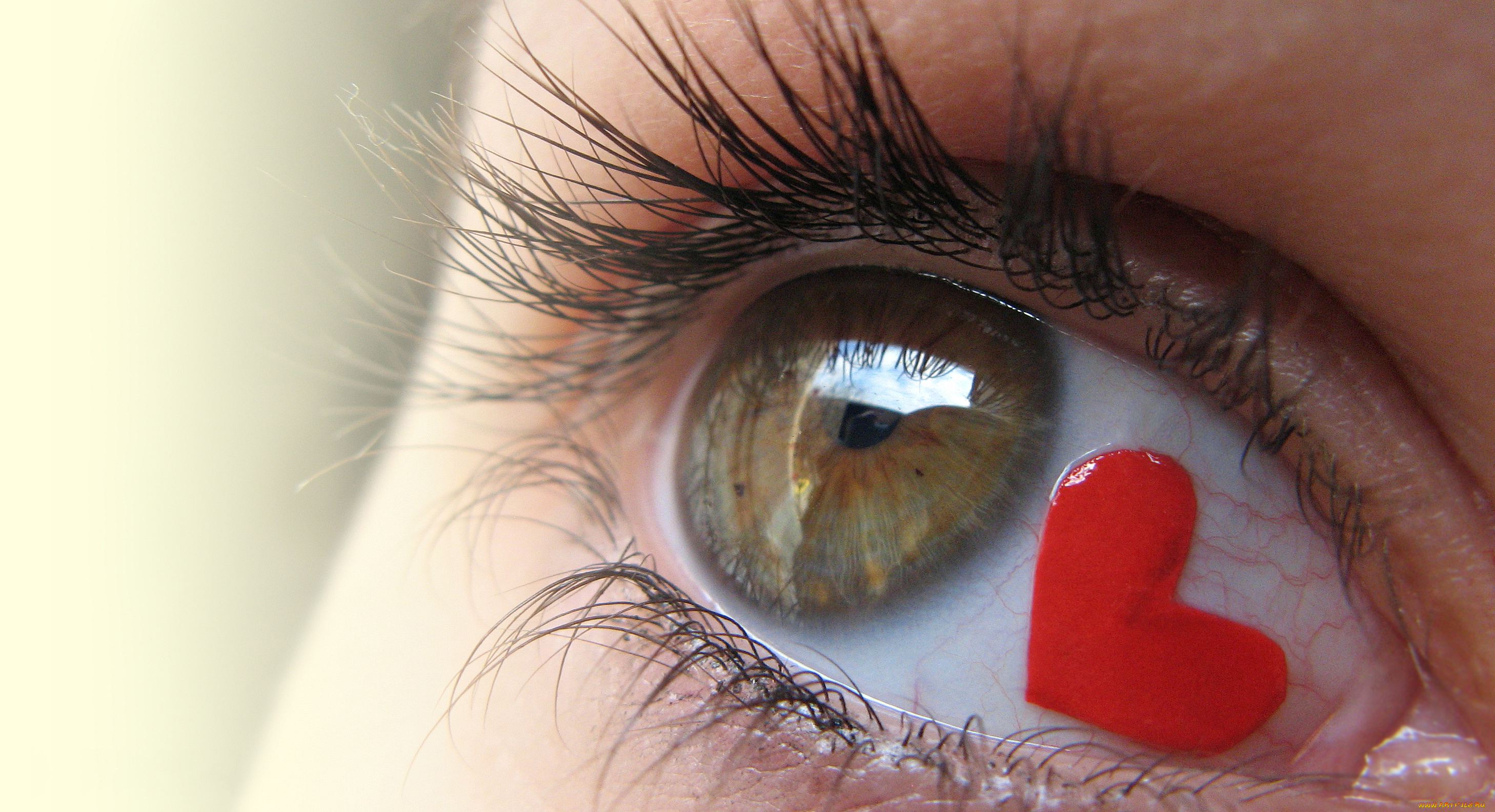 разное, глаза, взгляд, любовь, сердце