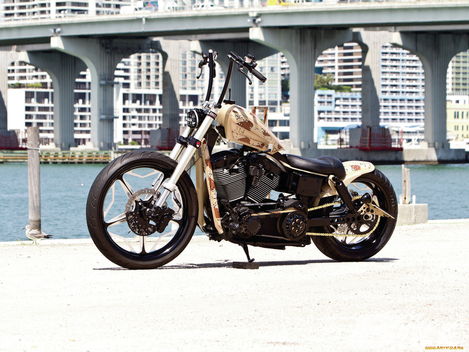 мотоциклы, customs, custom