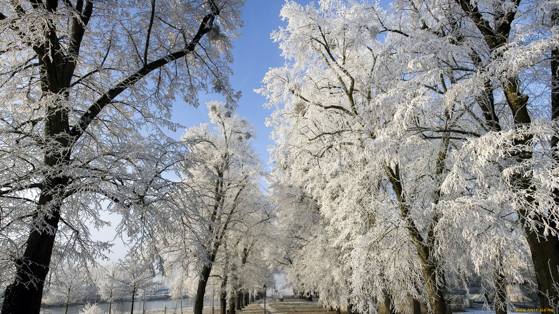 франция, франш, конте, природа, зима, снег