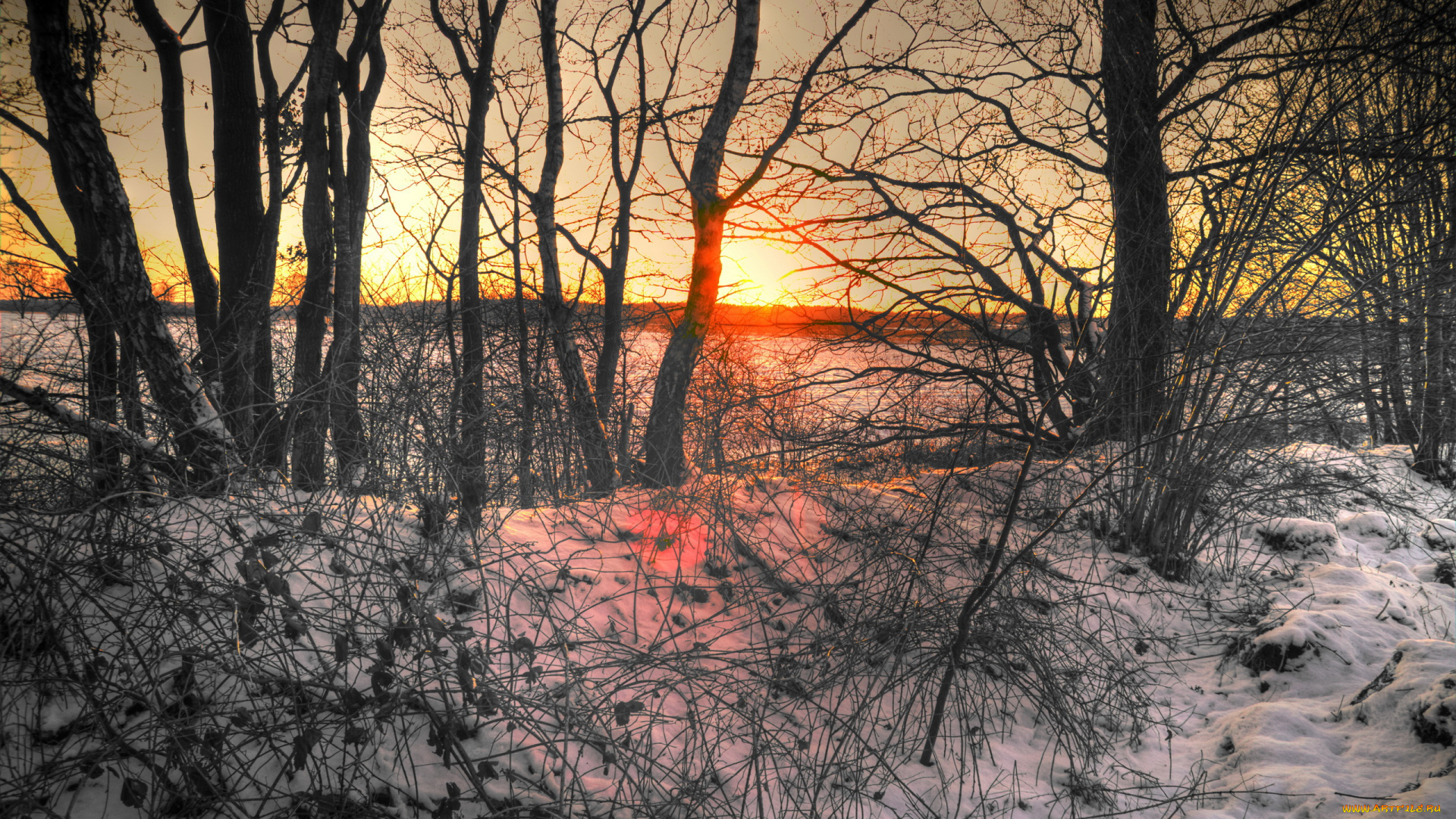 германия, нютцен, природа, восходы, закаты, закат, снег, зима