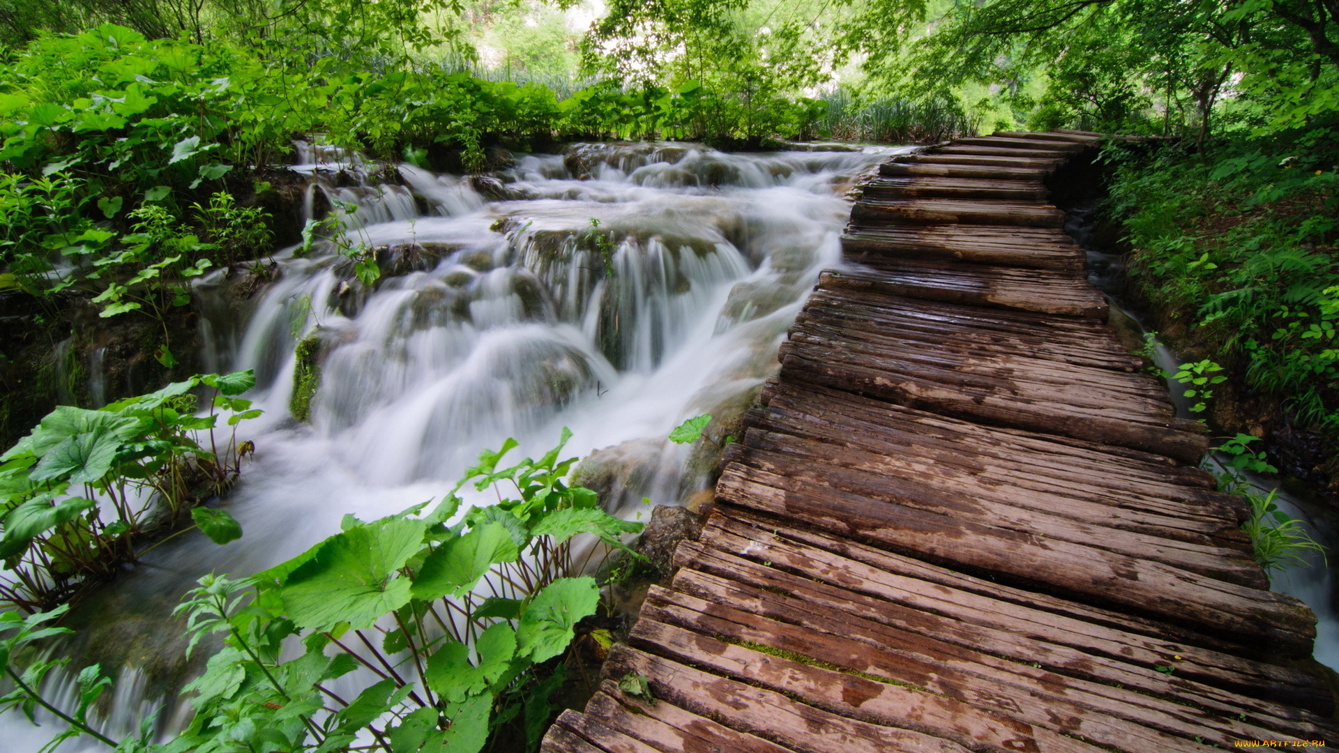 природа, реки, озера, каскад, река, лес, мостки