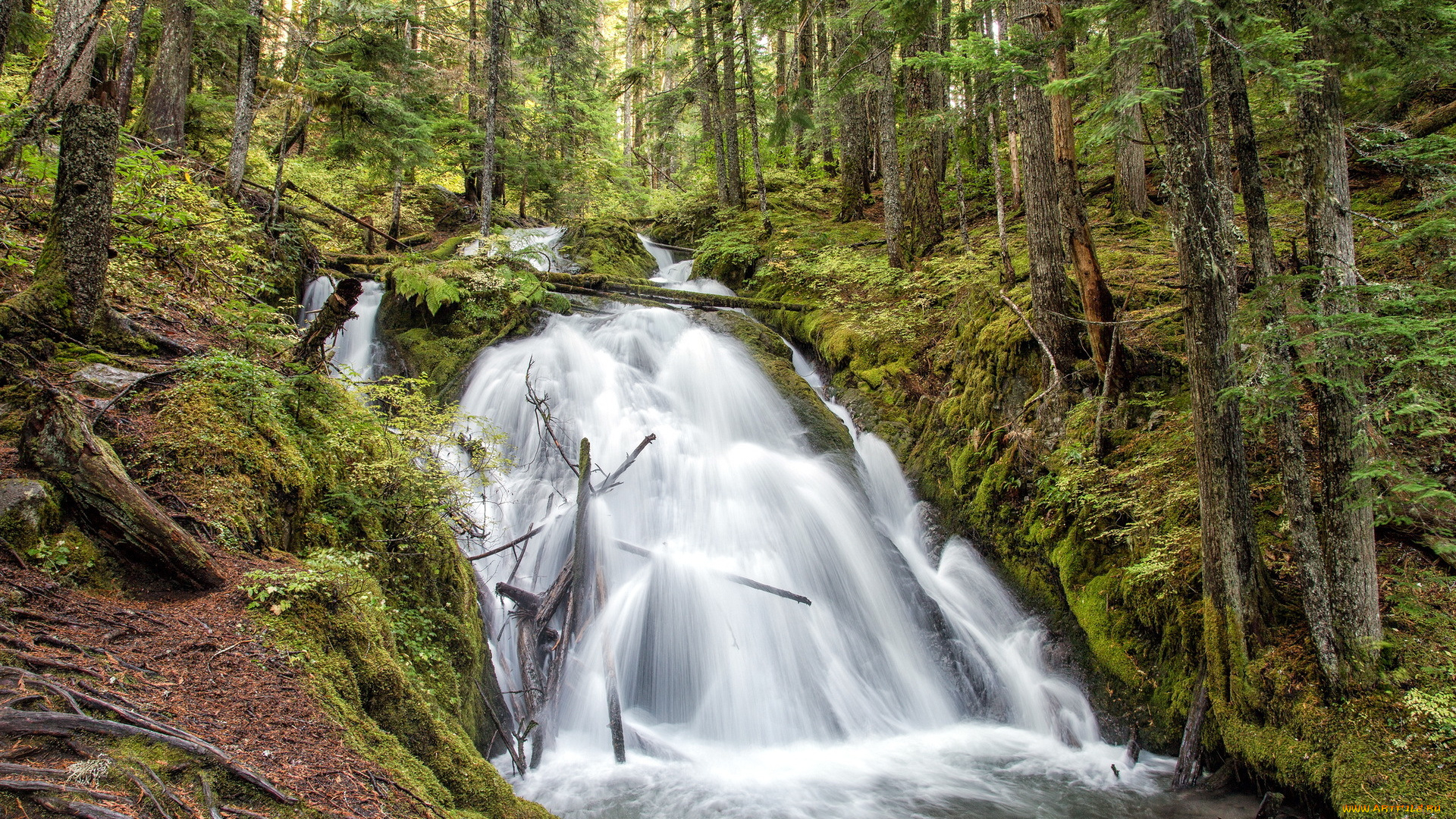 природа, водопады, лес, река, водопад