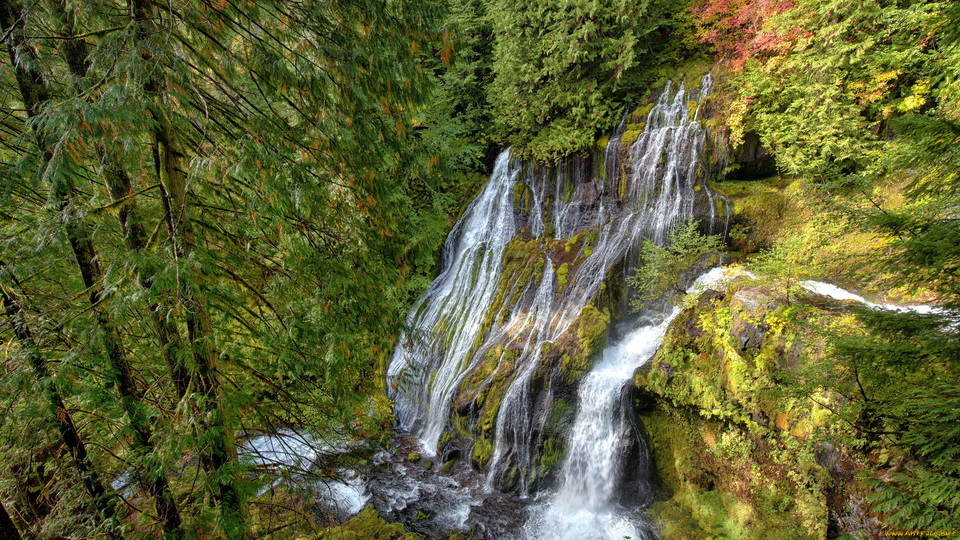 природа, водопады, водопад, лес, пейзаж