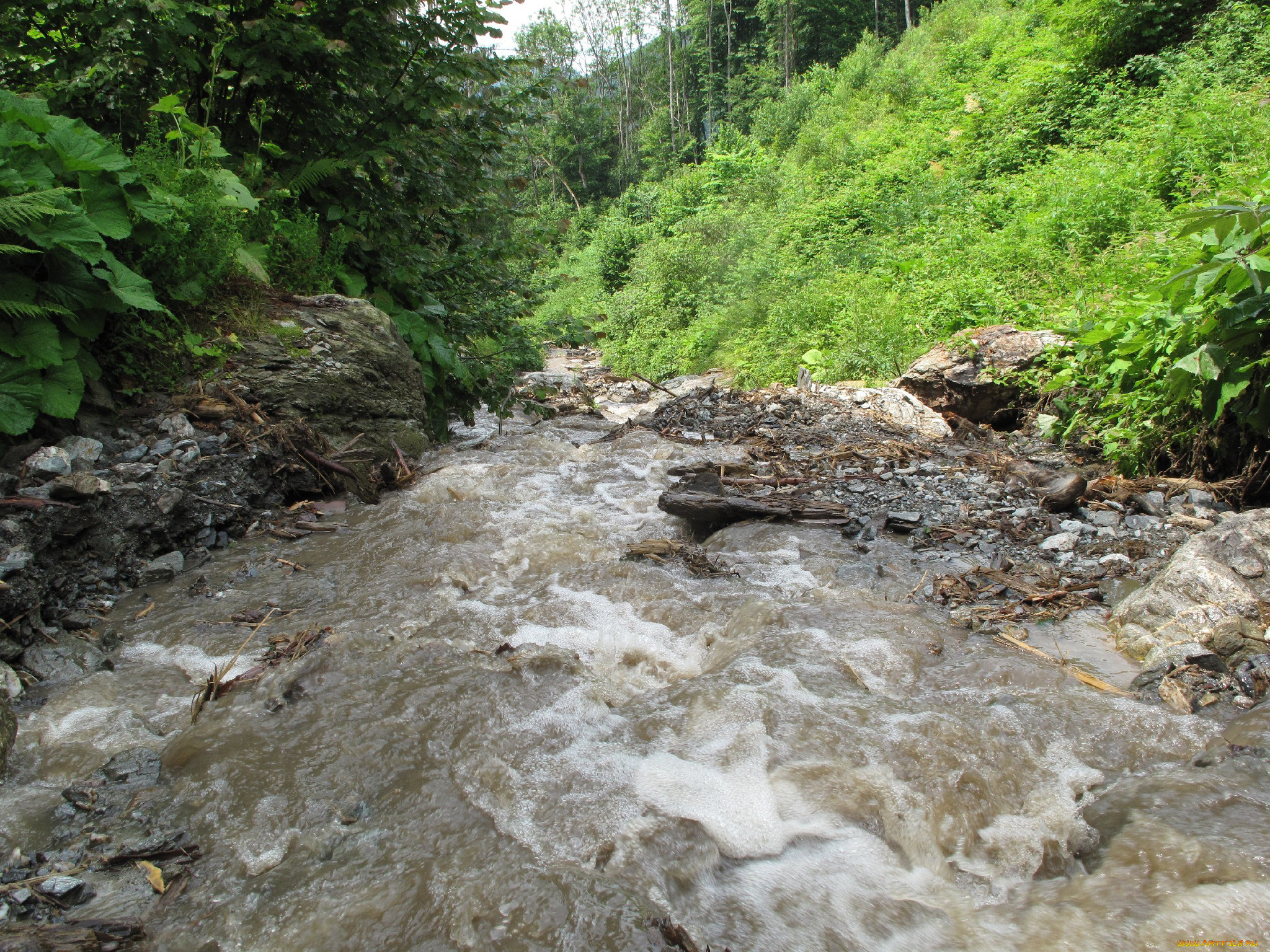 природа, реки, озера, камни, вода, поток