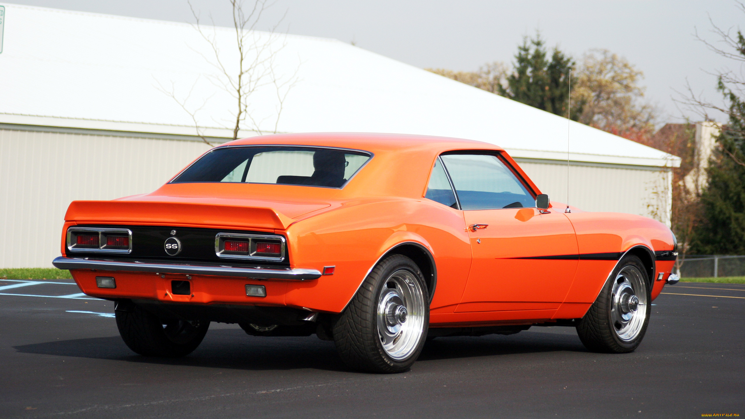 chevrolet, camaro, автомобили, скорость, автомобиль, стиль, мощь