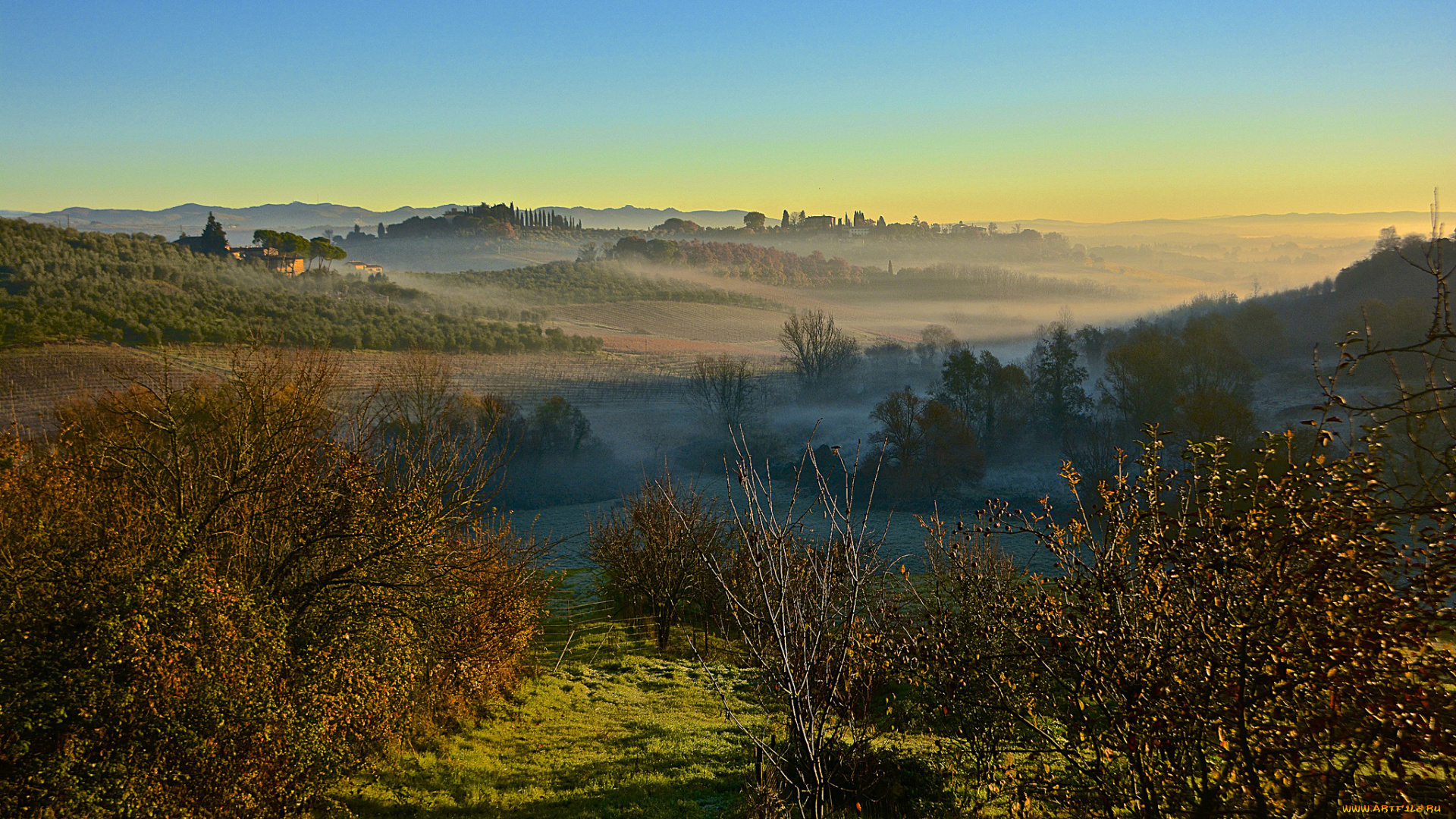 природа, восходы, закаты, тень, свет, горизонт, туман, холмы, растительность, равнина, утро