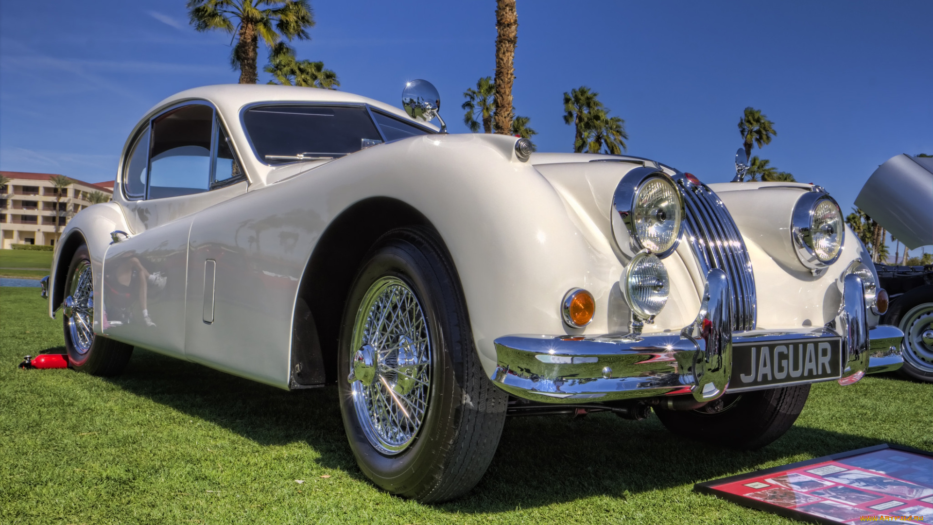 1964, jaguar, e-type, автомобили, выставки, и, уличные, фото, выставка, автошоу