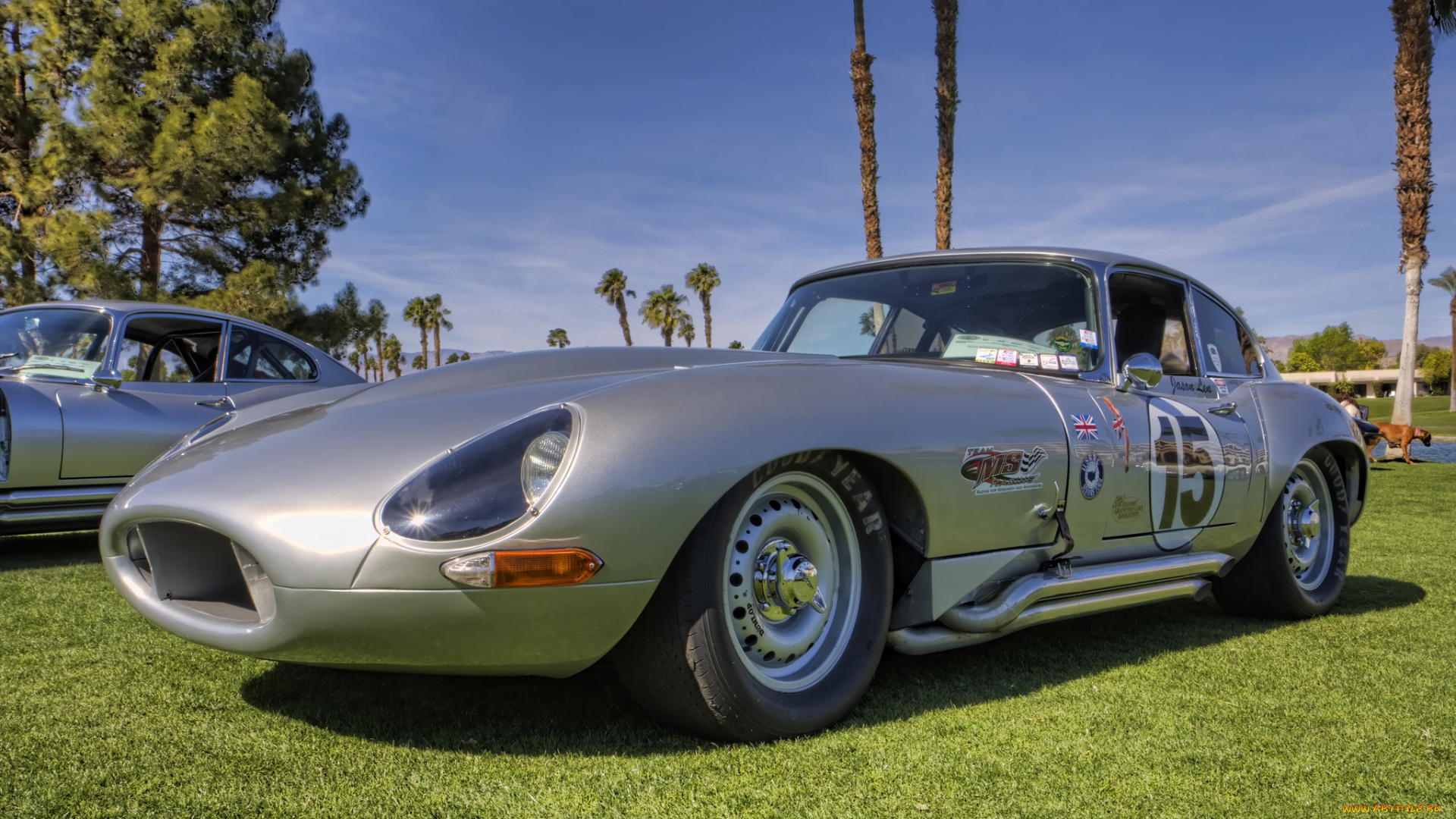 1964, jaguar, e-type, автомобили, выставки, и, уличные, фото, автошоу, выставка