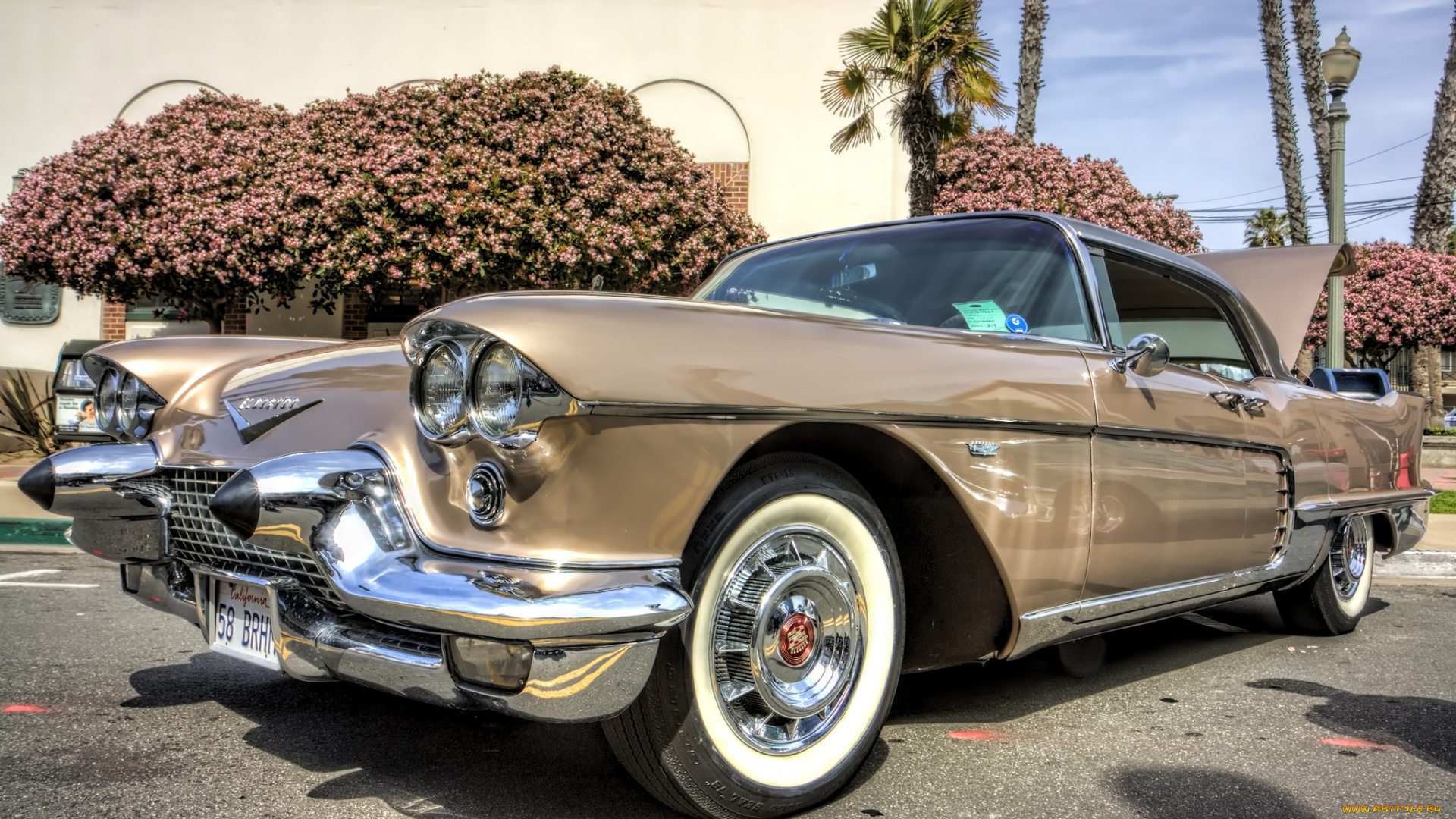 автомобили, выставки, и, уличные, фото, автошоу, выставка