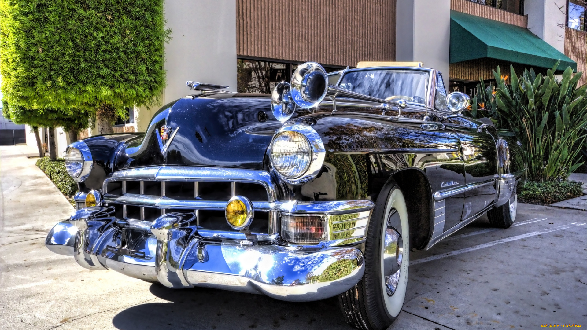 автомобили, выставки, и, уличные, фото, выставка, автошоу