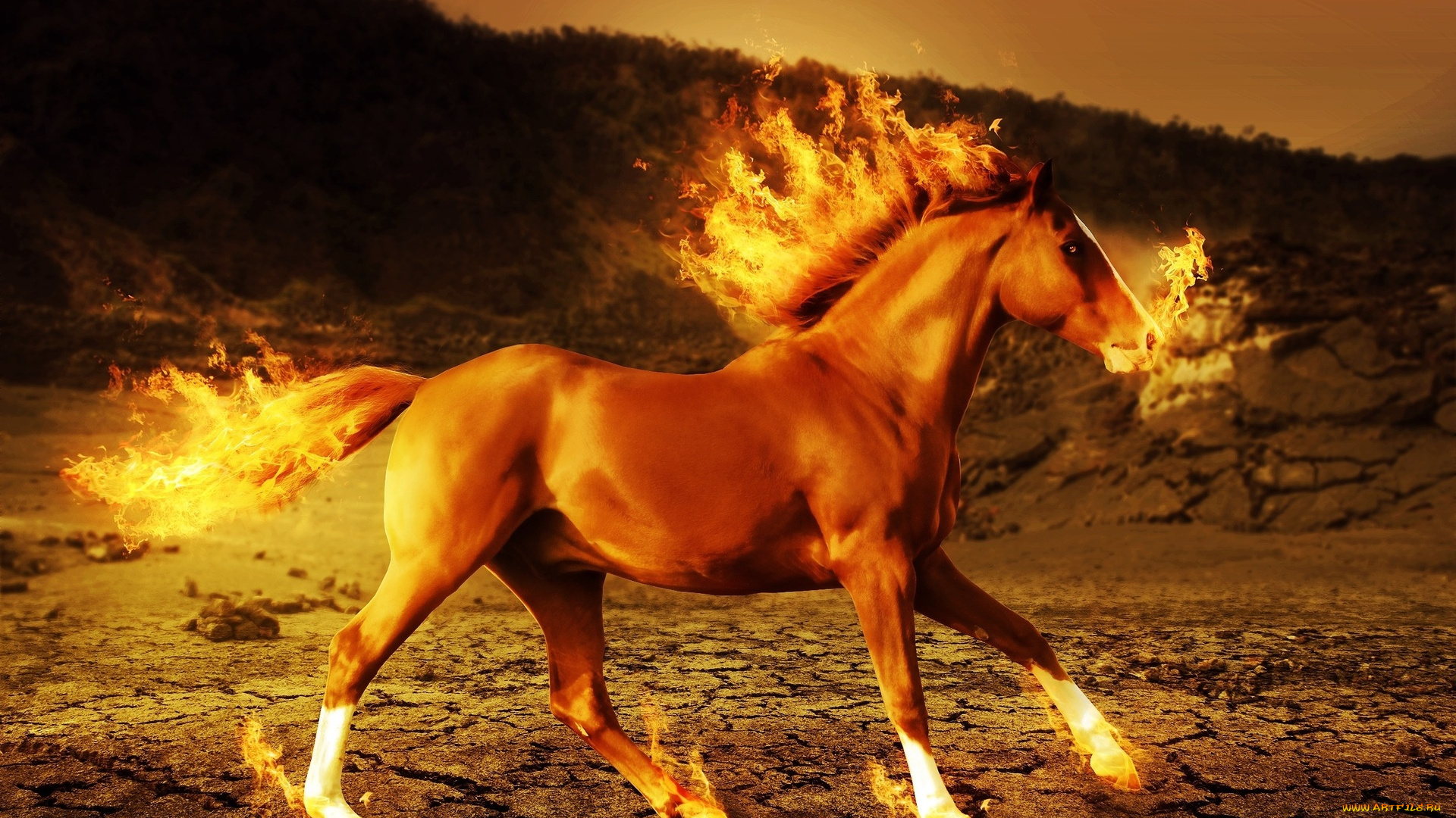 разное, компьютерный, дизайн, огонь, лошадь