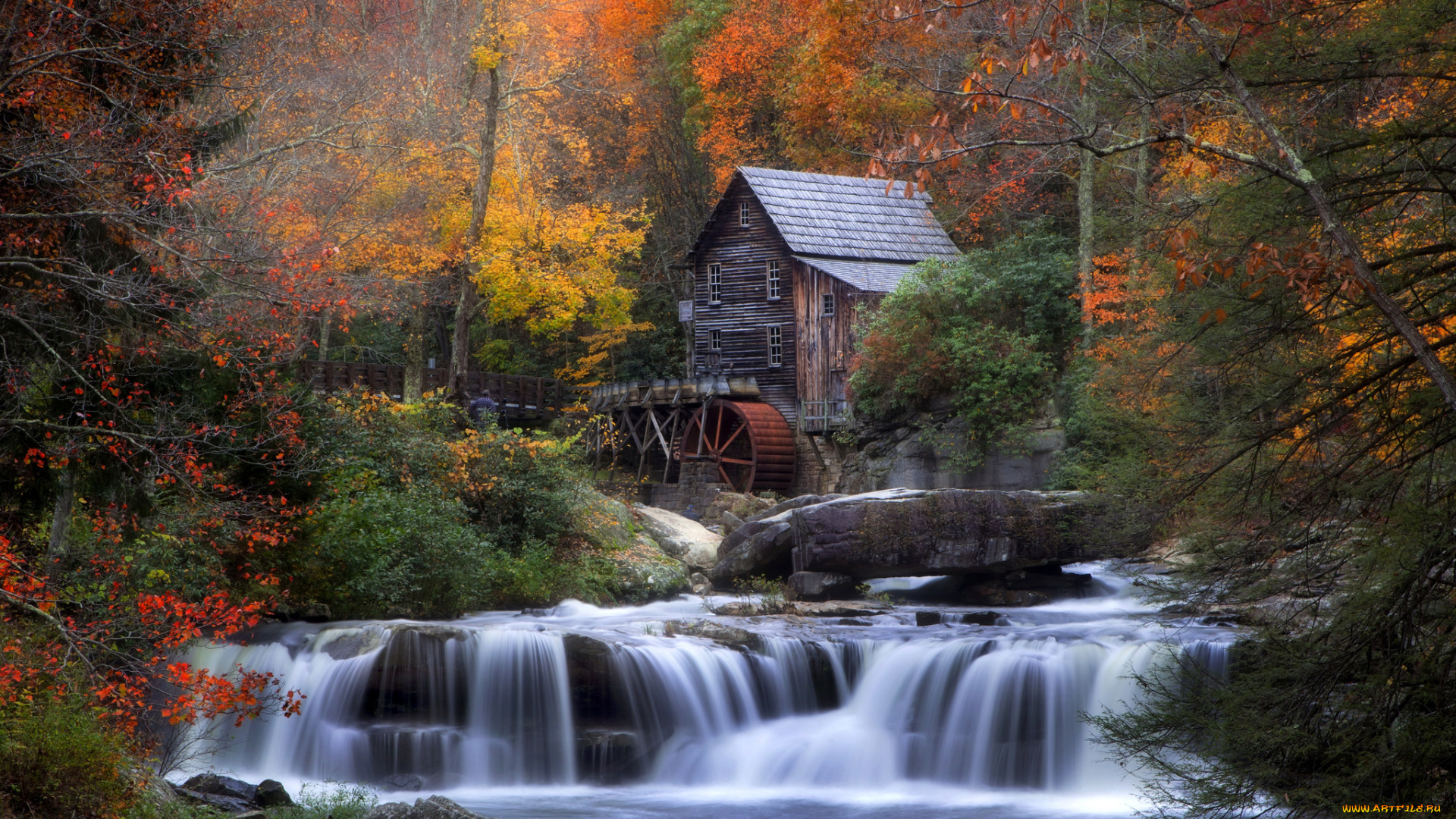 разное, мельницы, мельница, водяная, лес, река