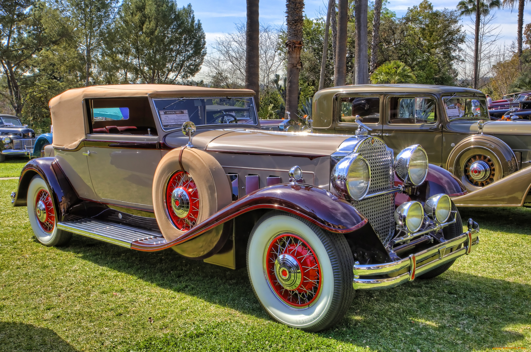 1931, packard, 840, dietrich, convertible, victoria, автомобили, выставки, и, уличные, фото, автошоу, выставка
