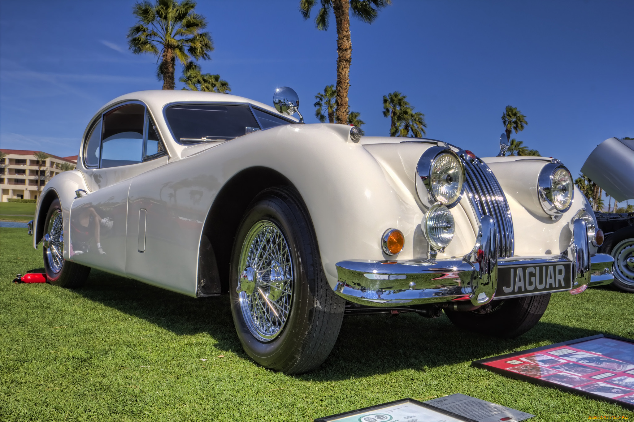 1964, jaguar, e-type, автомобили, выставки, и, уличные, фото, выставка, автошоу