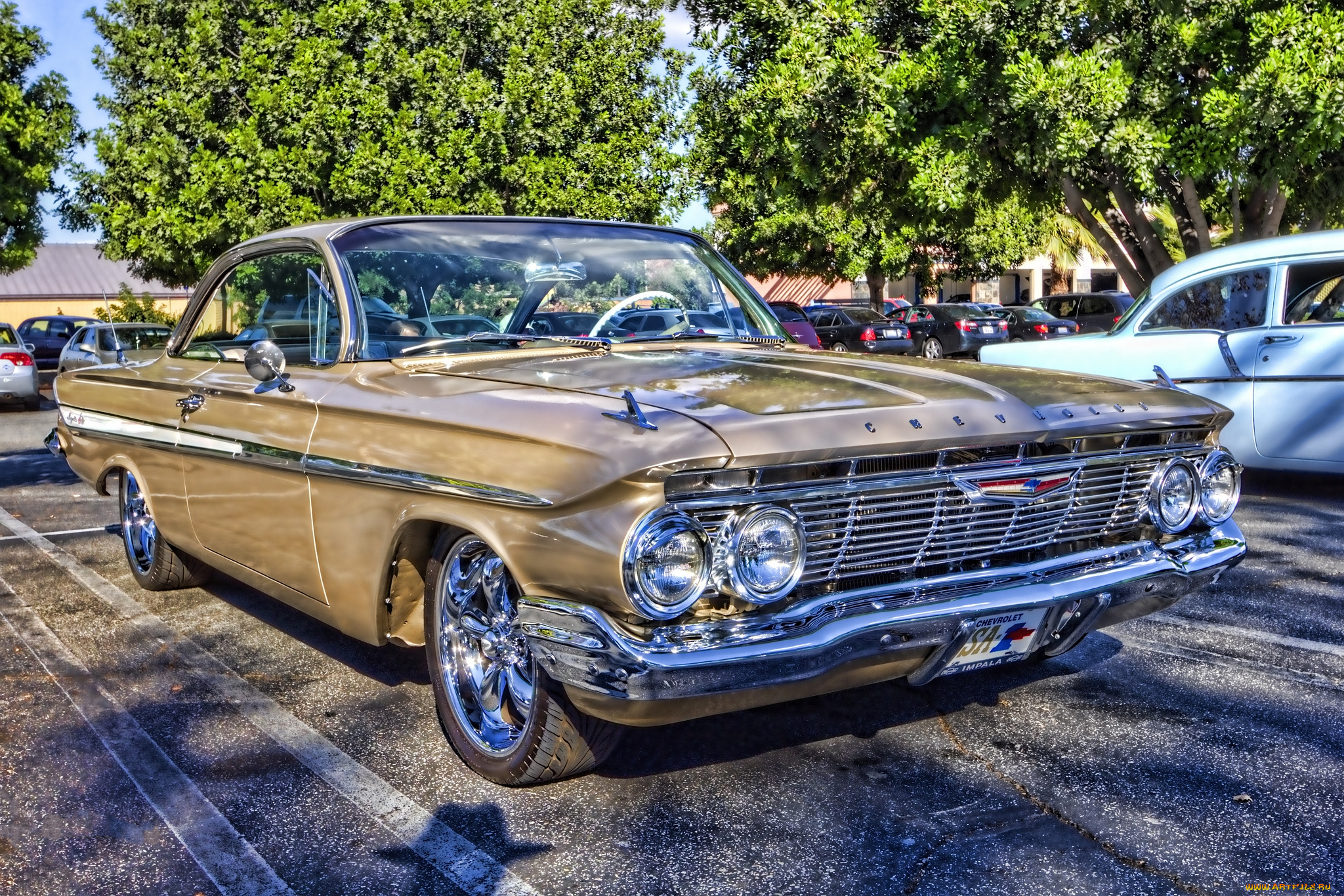 автомобили, выставки, и, уличные, фото, автошоу, выставка