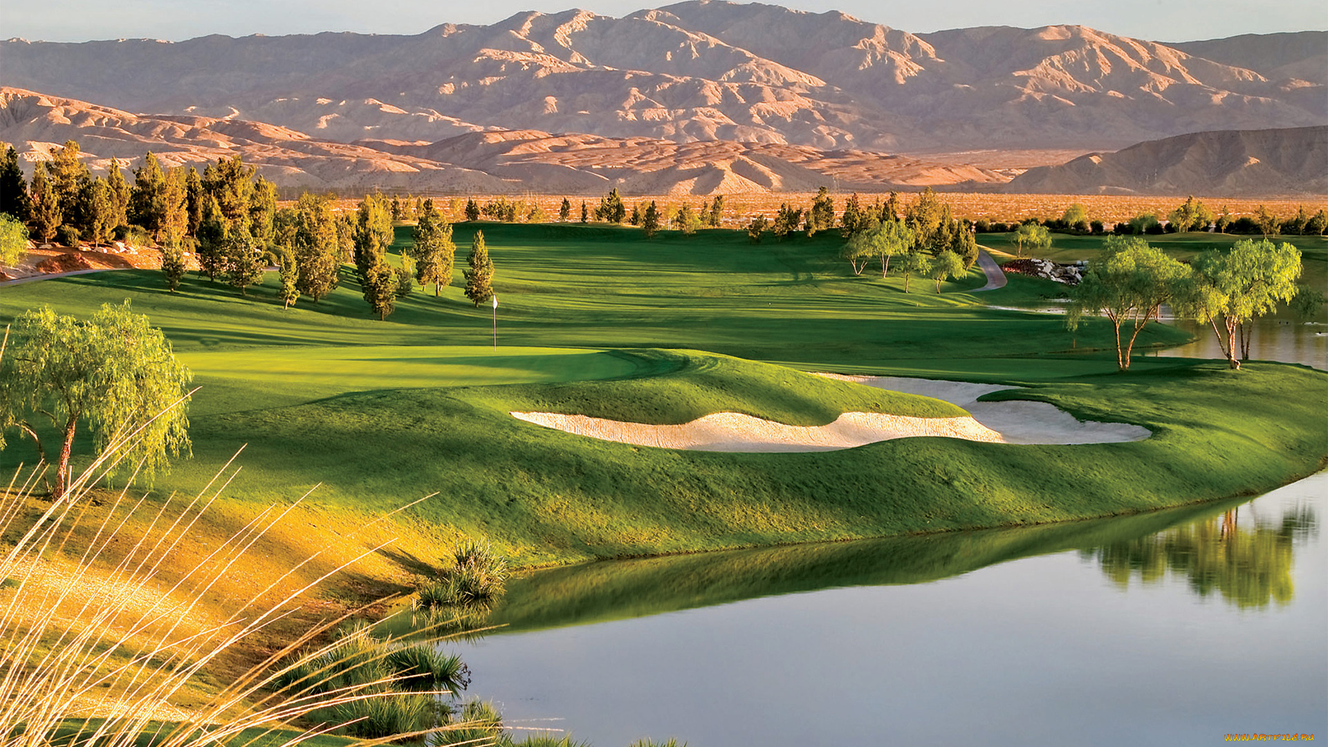 природа, пейзажи, park, golf