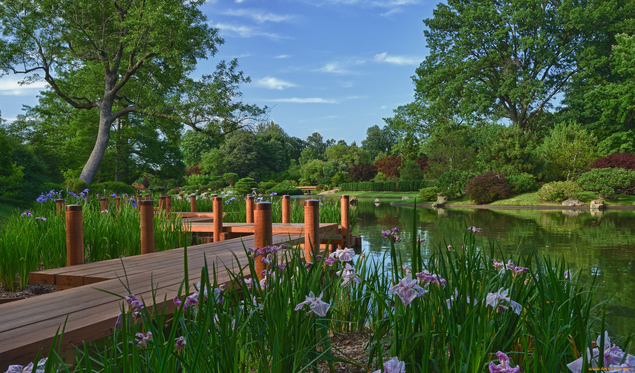 природа, парк, пруд, мостки