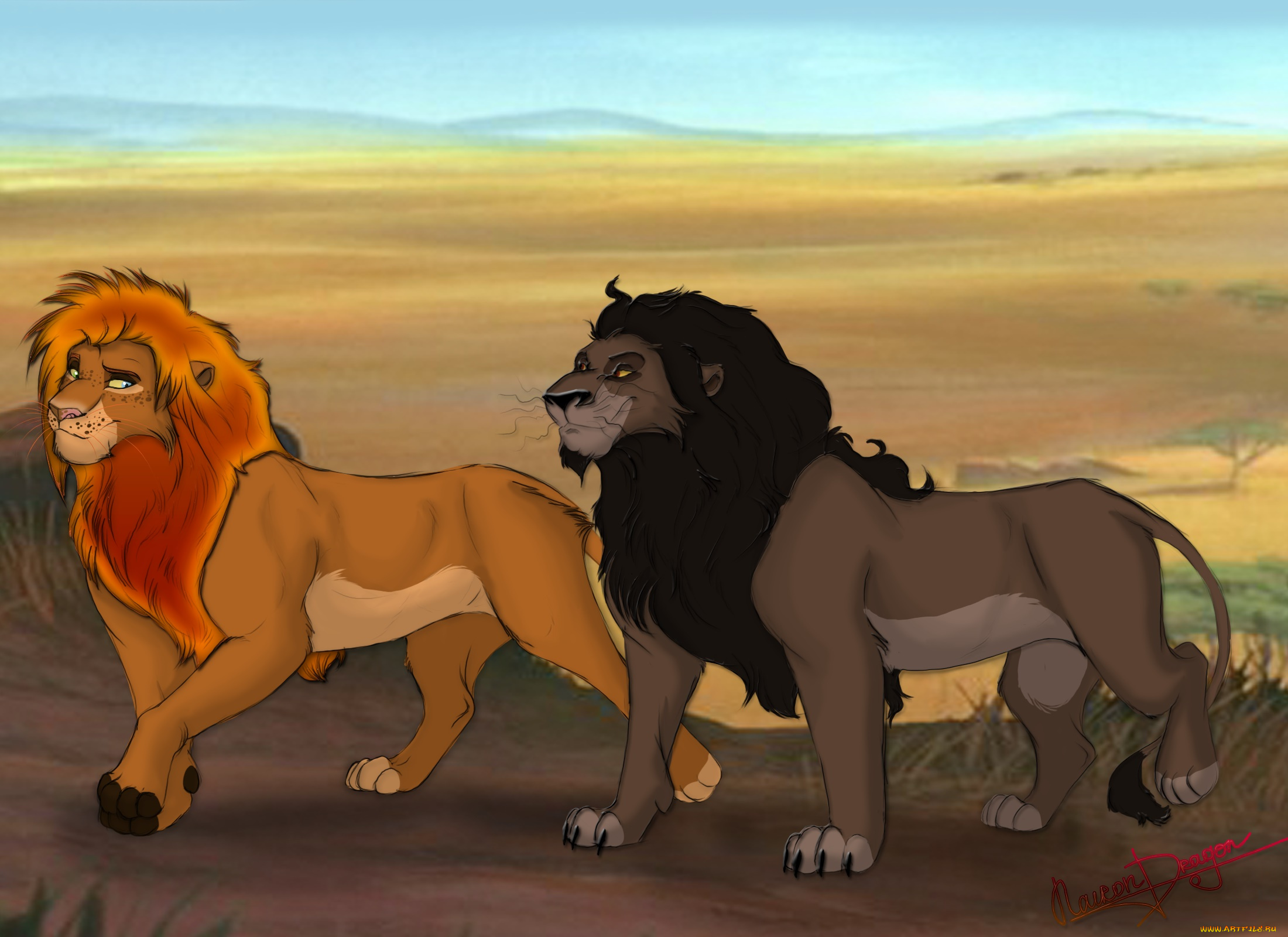 векторная, графика, мультфильмы, , cartoons, лев, львица