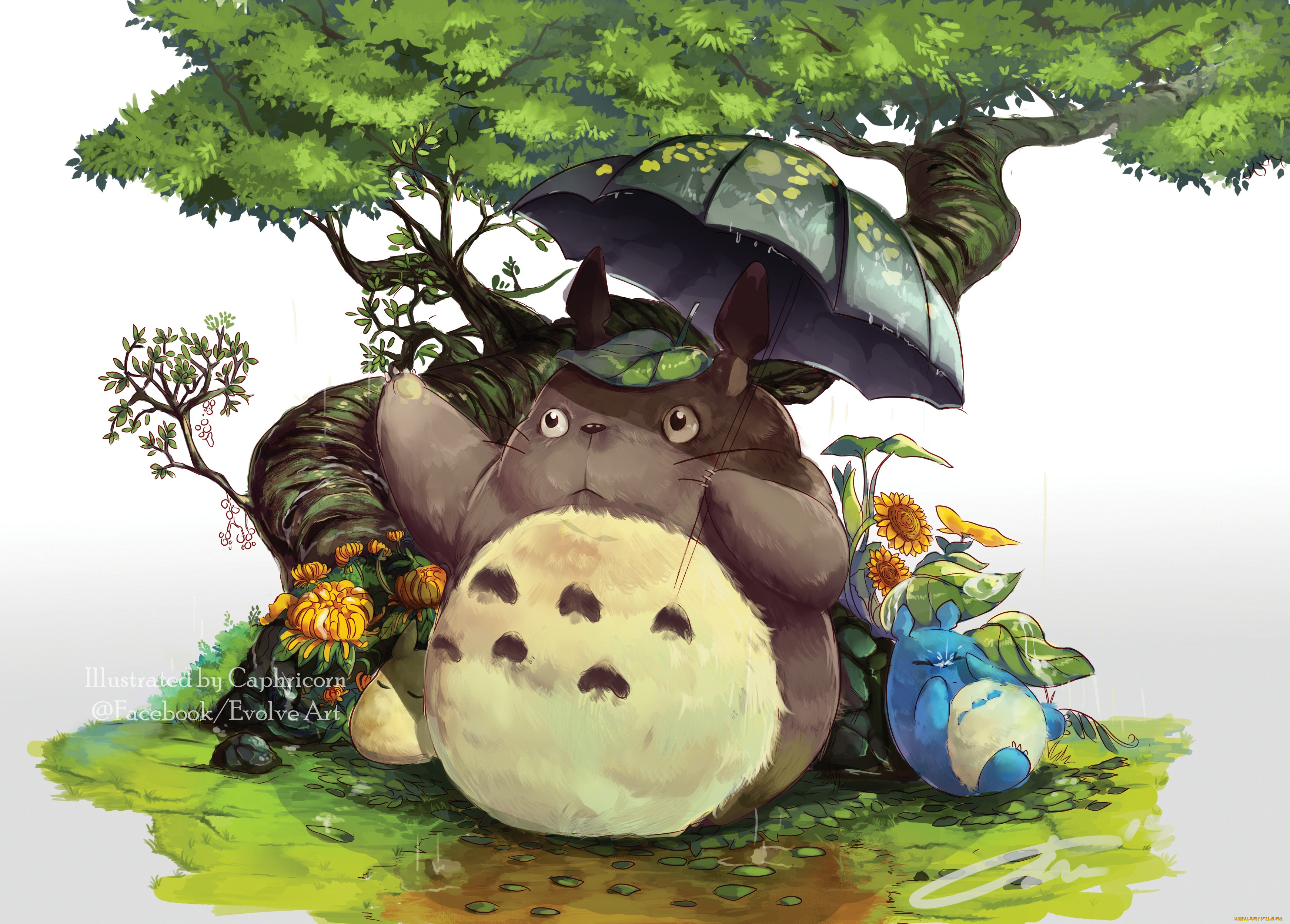 аниме, животные, , существа, арт, totoro, caphricorn, тоторо, зонт, tonari, no