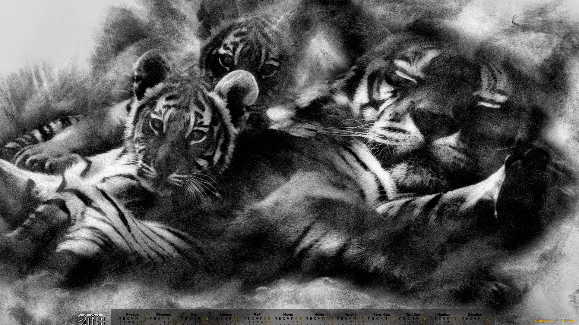 календари, компьютерный, дизайн, отдых, взгляд, тигр, 2018