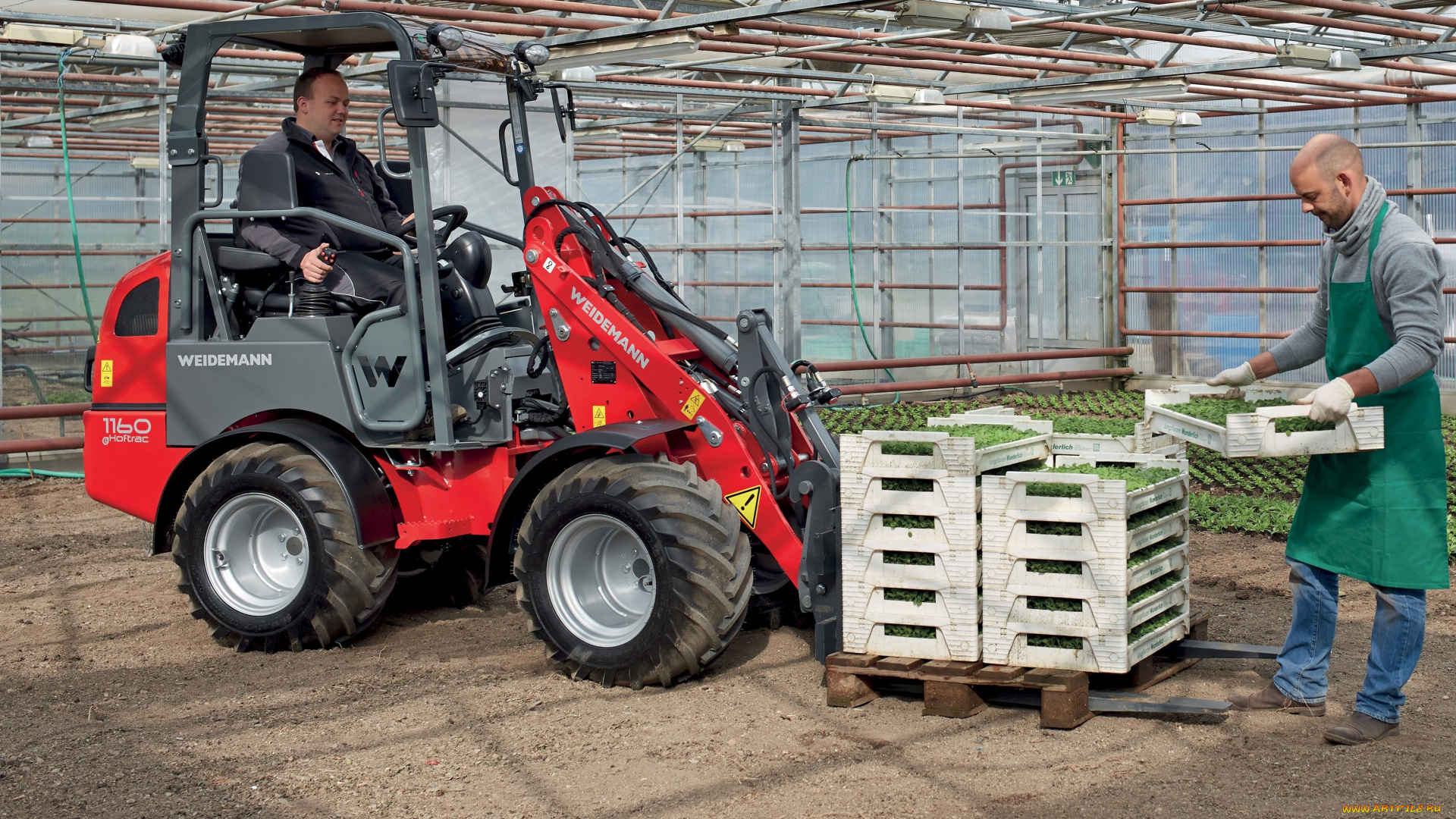 техника, фронтальные, погрузчики, weidemann