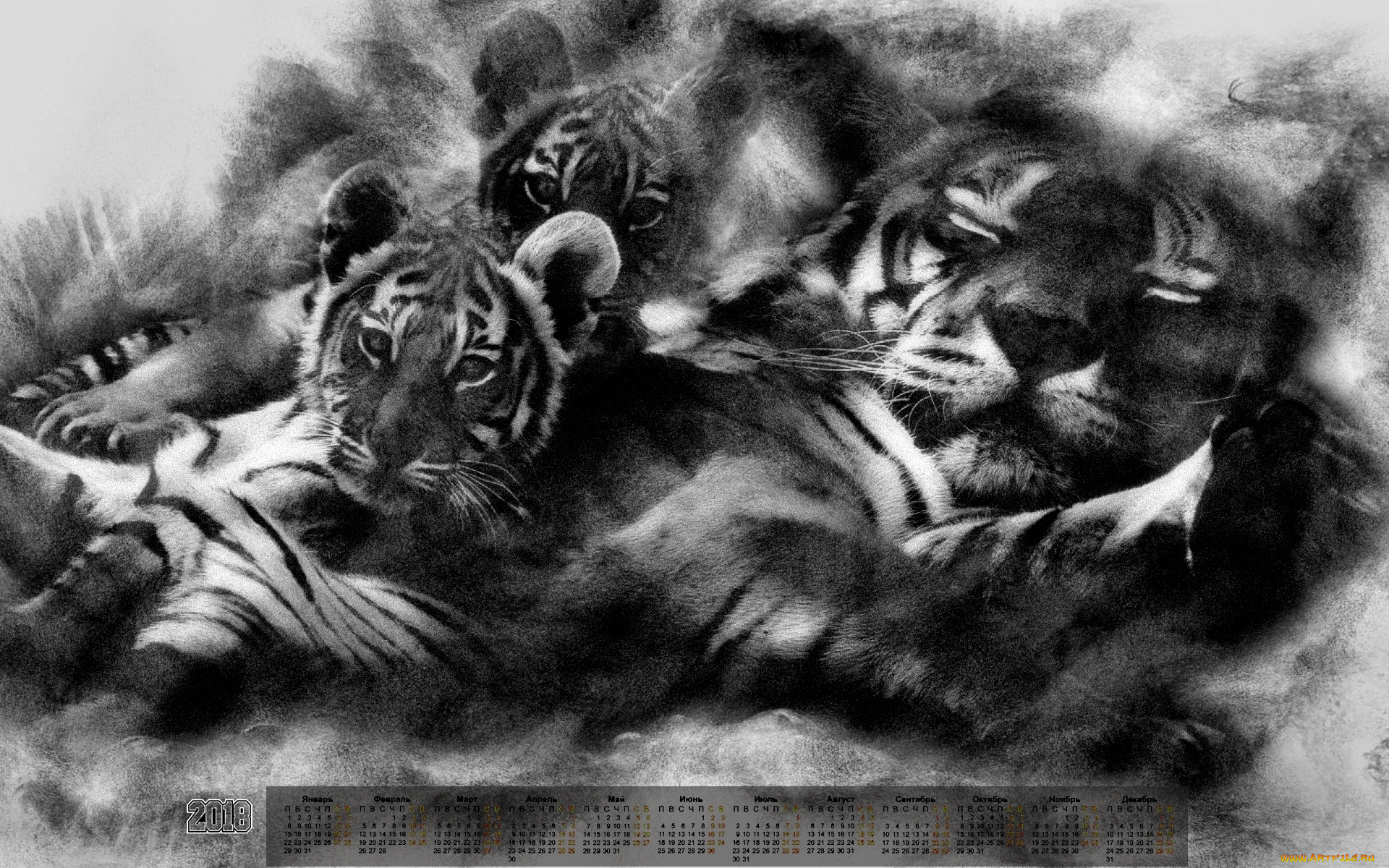 календари, компьютерный, дизайн, отдых, взгляд, тигр, 2018